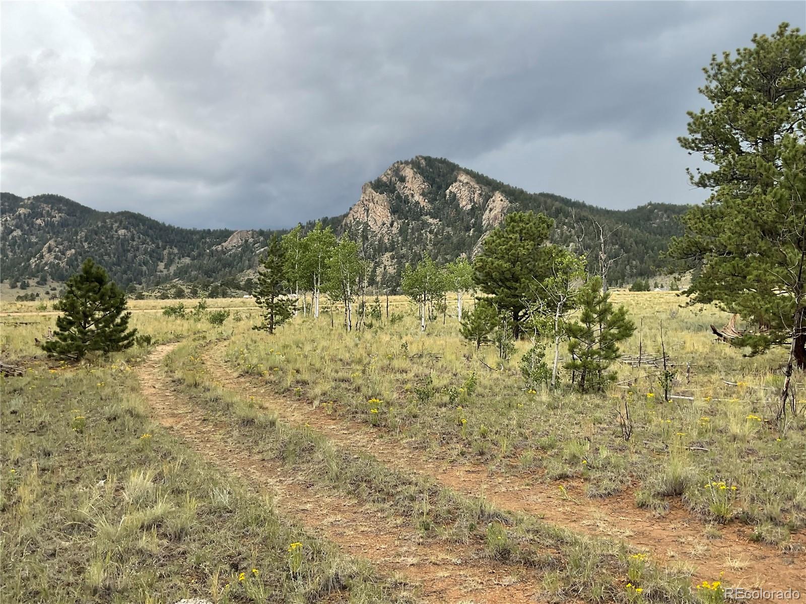 MLS Image #7 for 490  teller street,hartsel, Colorado