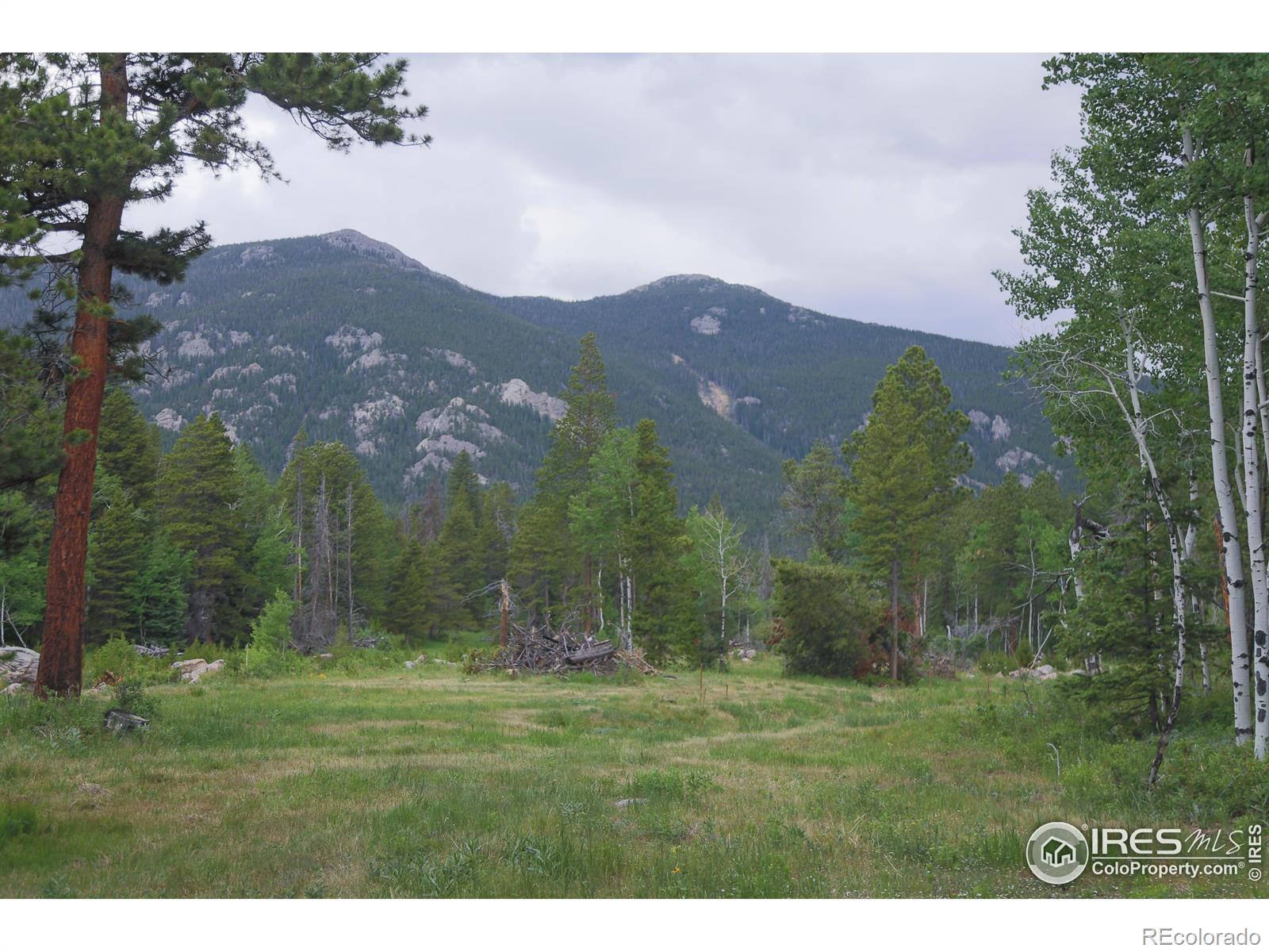 MLS Image #29 for 5277  county road 59 ,allenspark, Colorado