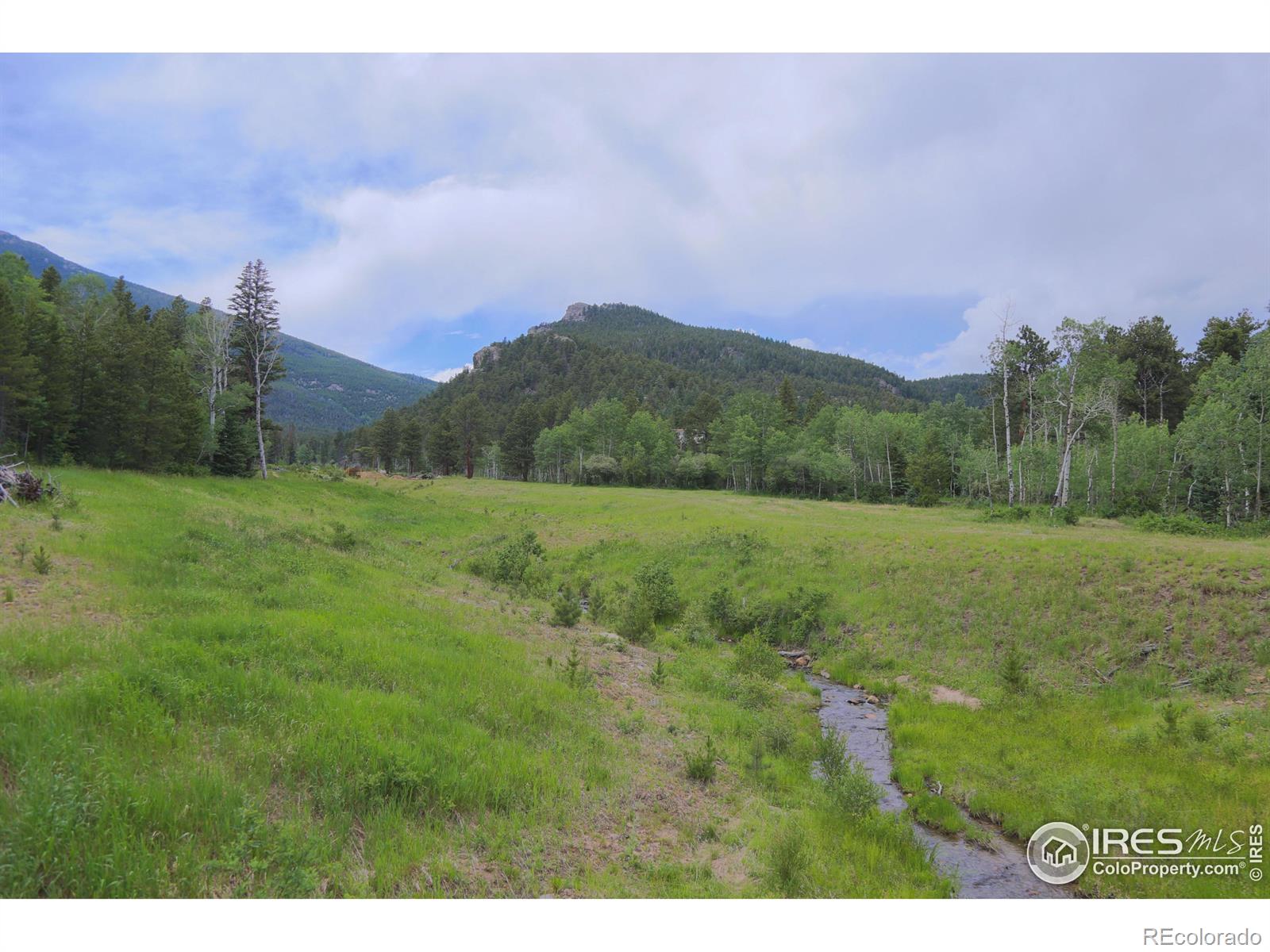 MLS Image #30 for 5277  county road 59 ,allenspark, Colorado