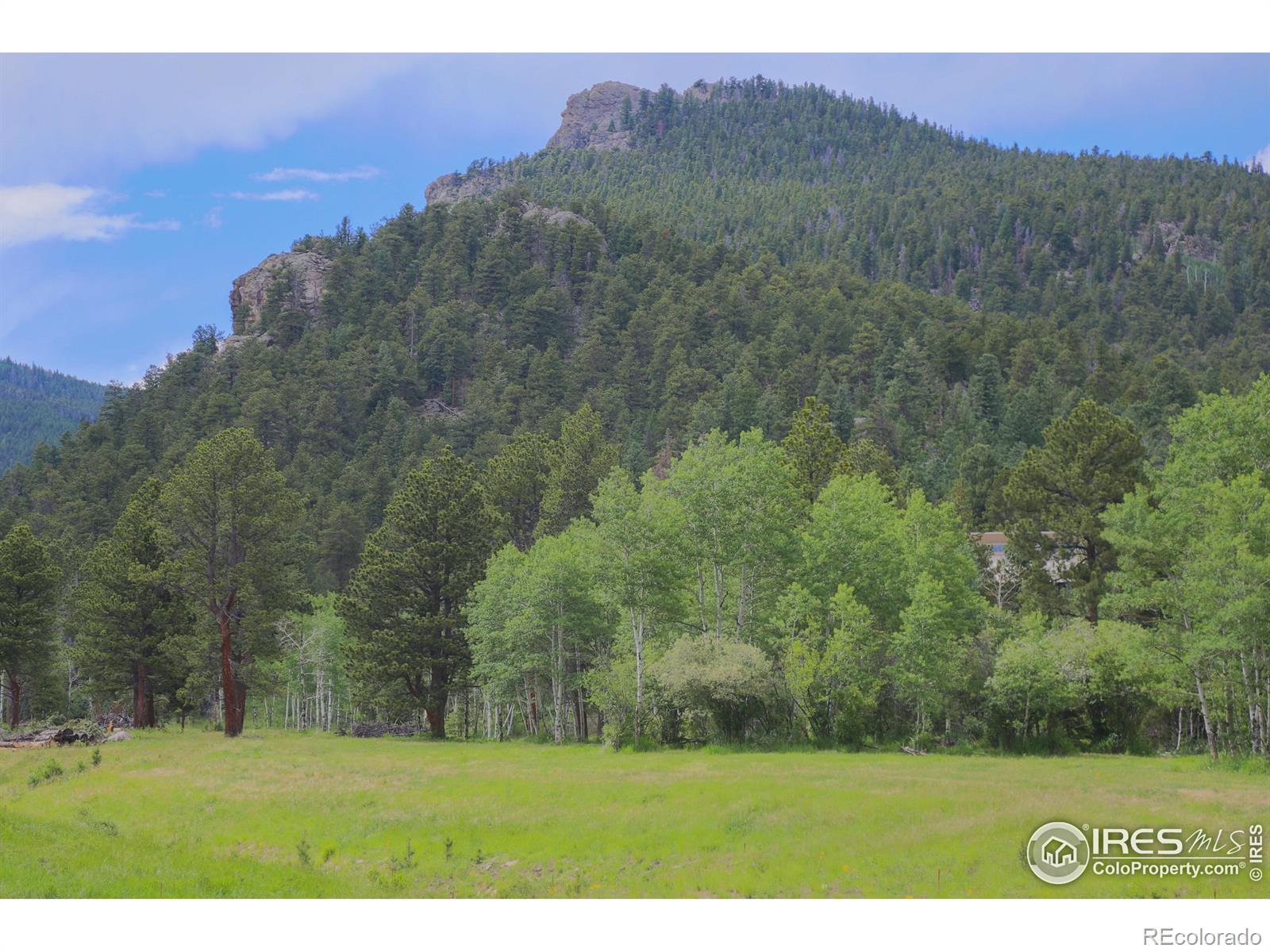 MLS Image #33 for 5277  county road 59 ,allenspark, Colorado