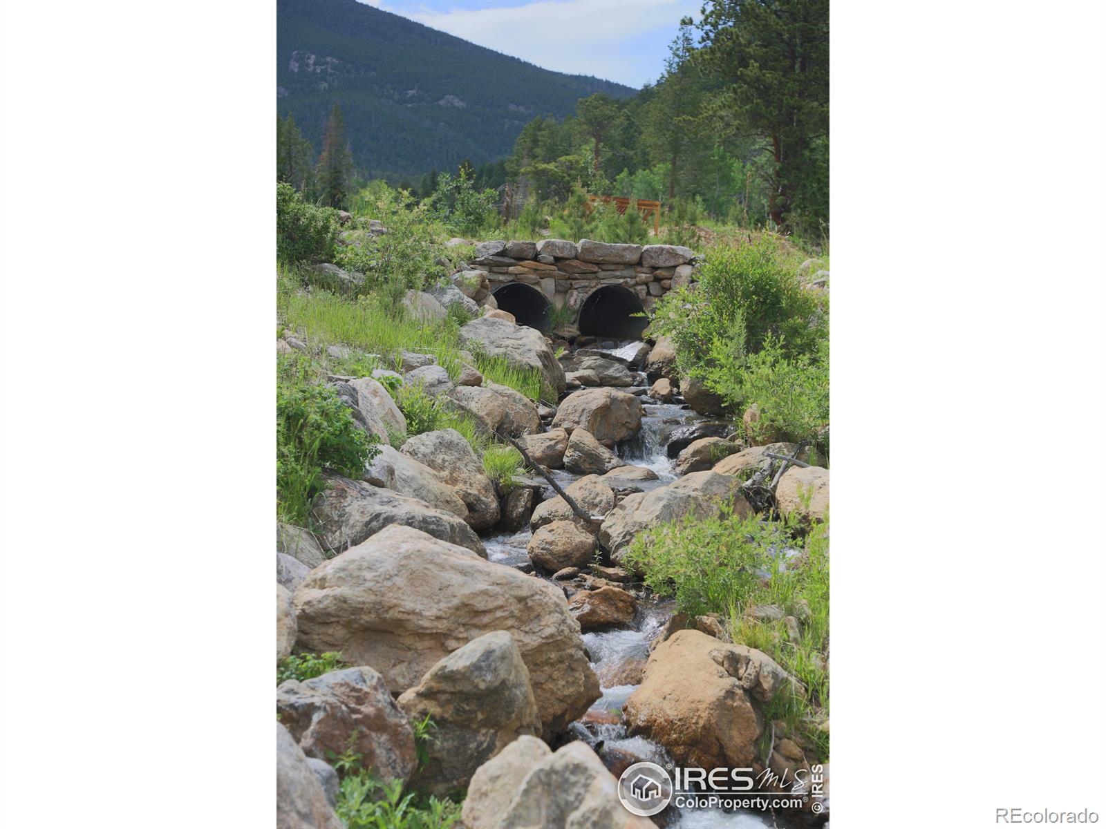 MLS Image #36 for 5277  county road 59 ,allenspark, Colorado