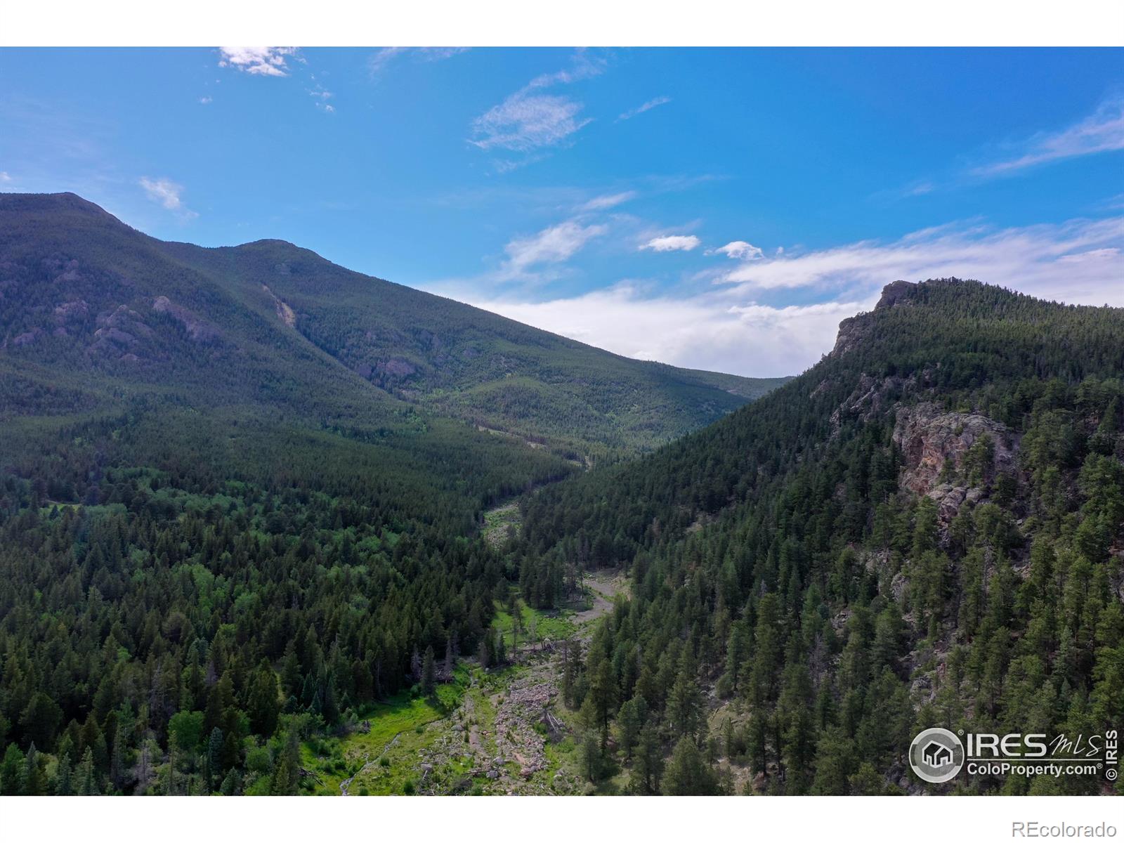 MLS Image #38 for 5277  county road 59 ,allenspark, Colorado