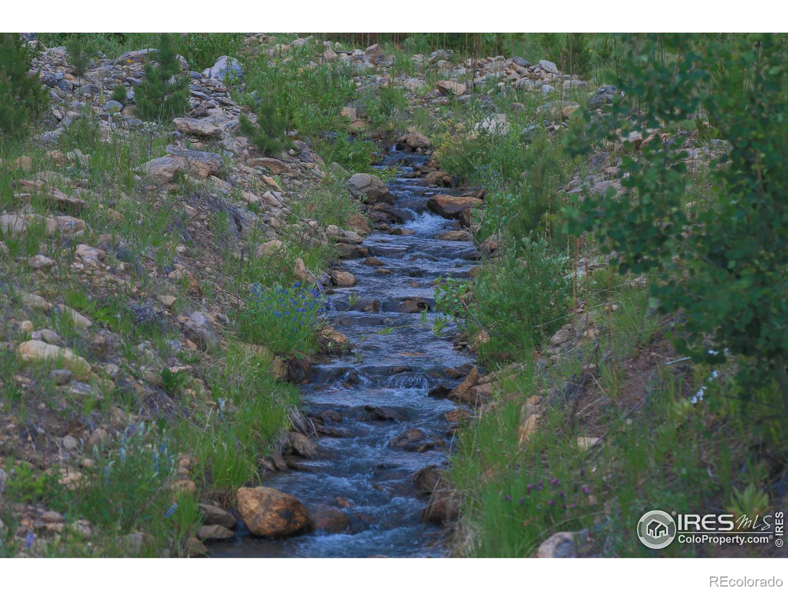 MLS Image #4 for 5277  county road 59 ,allenspark, Colorado