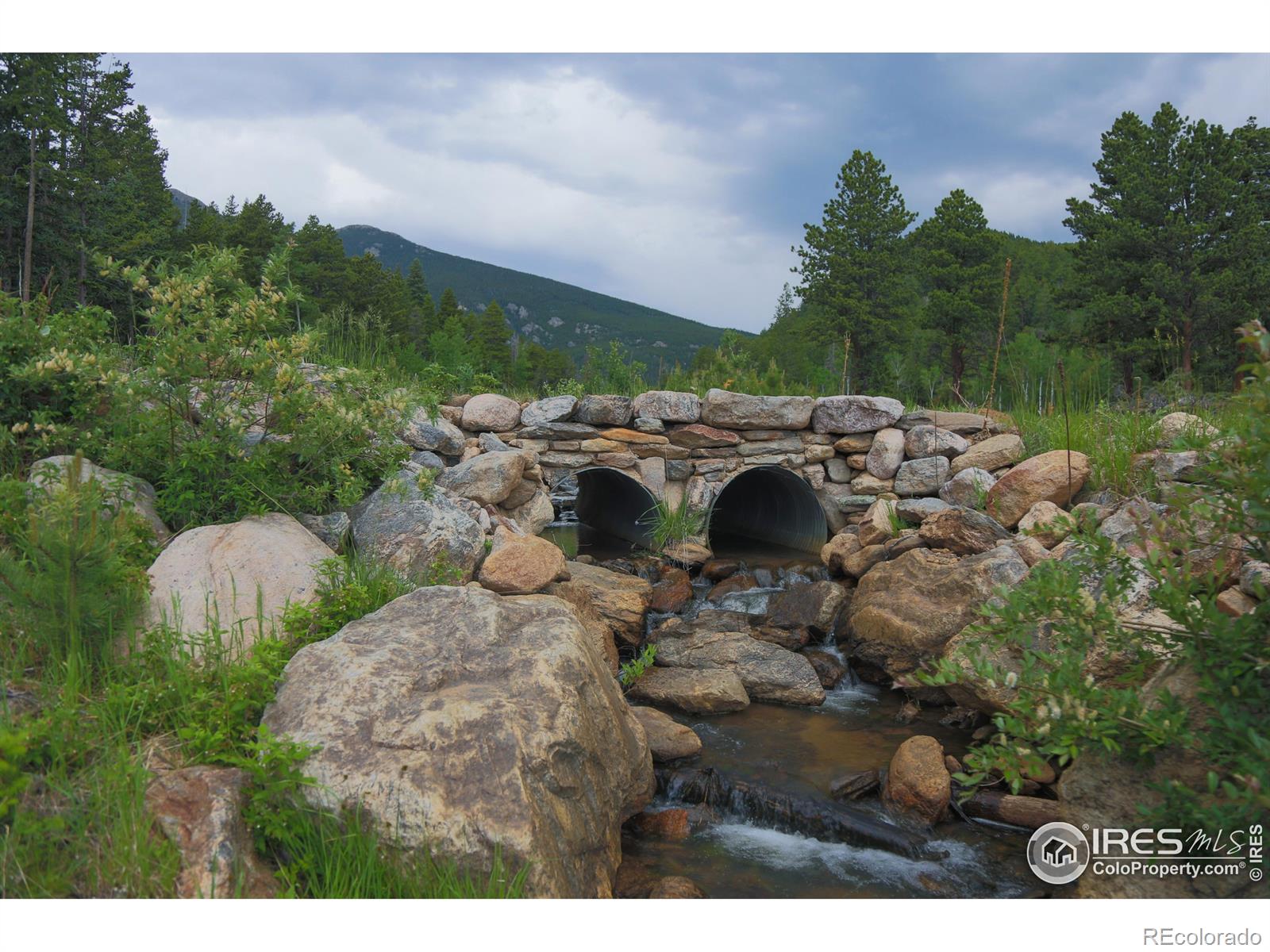 MLS Image #5 for 5277  county road 59 ,allenspark, Colorado