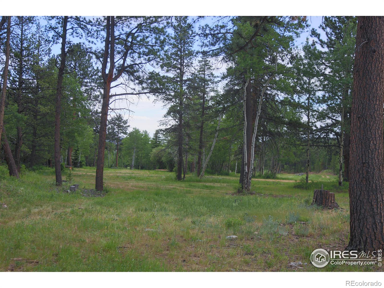 MLS Image #6 for 5277  county road 59 ,allenspark, Colorado