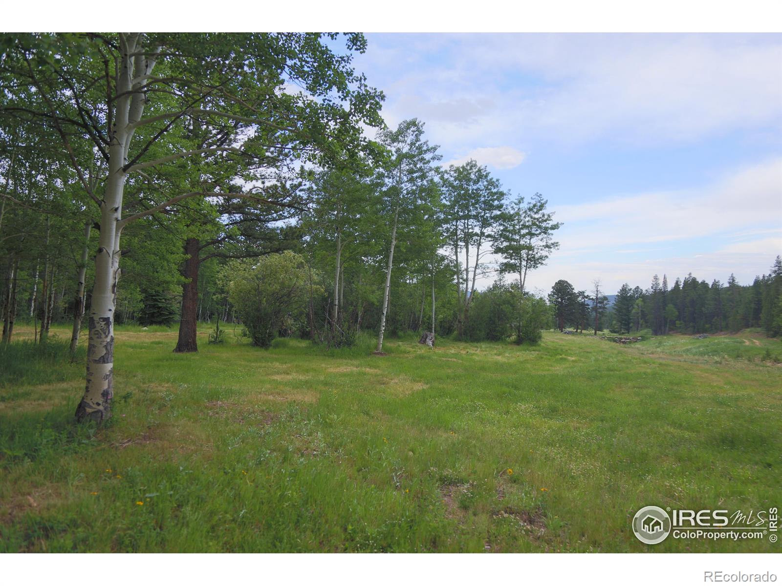 MLS Image #7 for 5277  county road 59 ,allenspark, Colorado