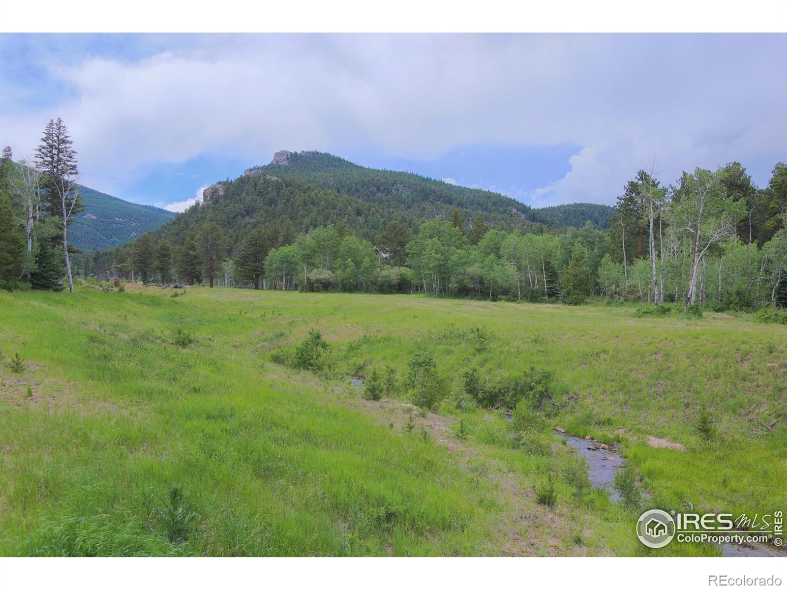 MLS Image #8 for 5277  county road 59 ,allenspark, Colorado