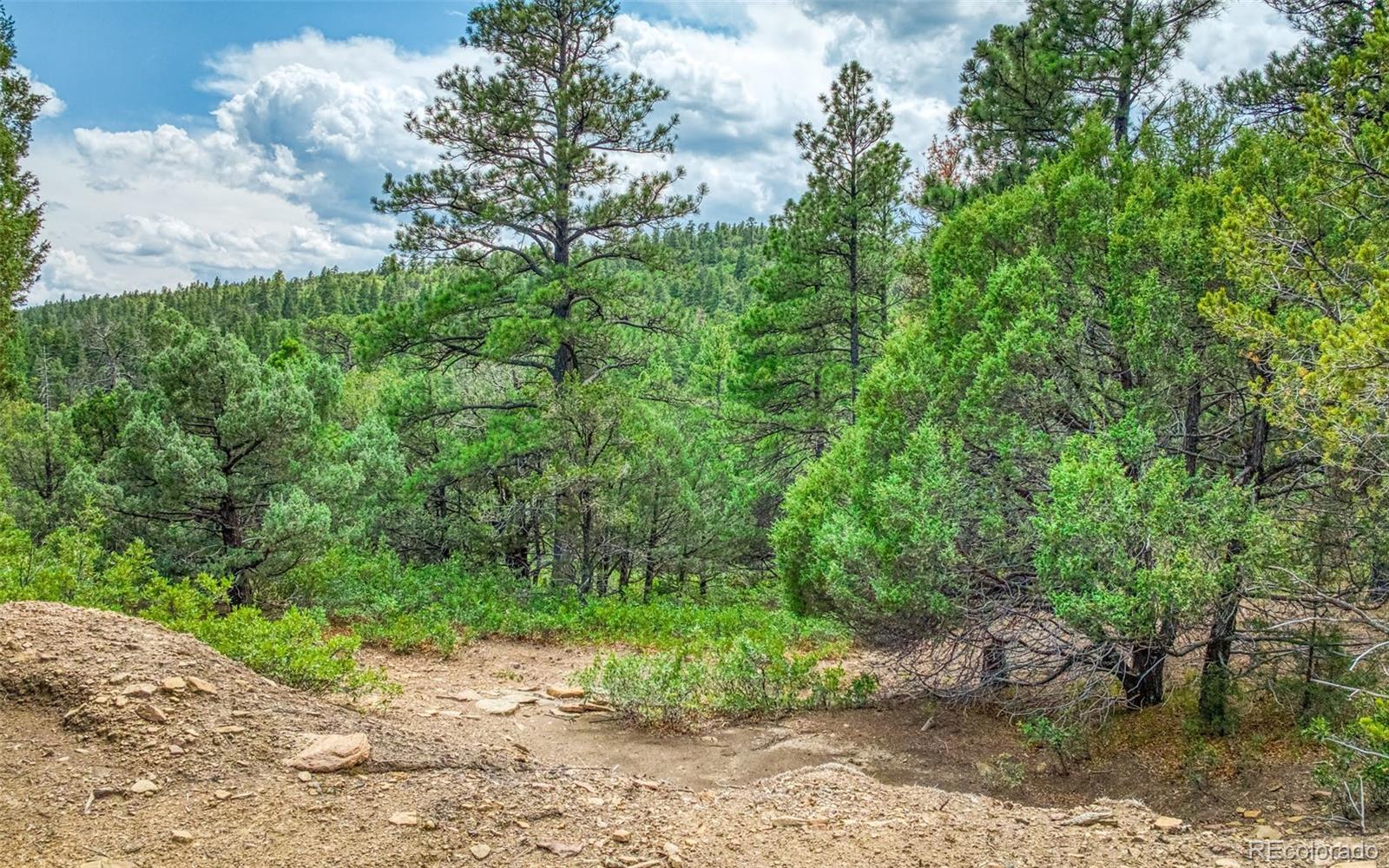 MLS Image #38 for 33170  old mission ridge,trinidad, Colorado