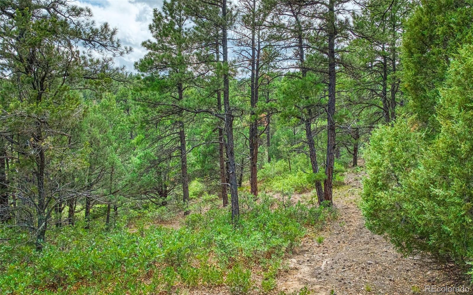 MLS Image #39 for 33170  old mission ridge,trinidad, Colorado