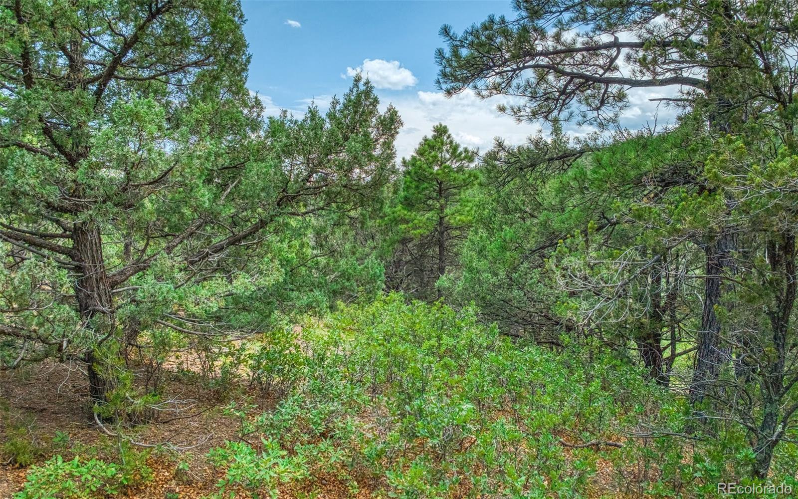 MLS Image #40 for 33170  old mission ridge,trinidad, Colorado