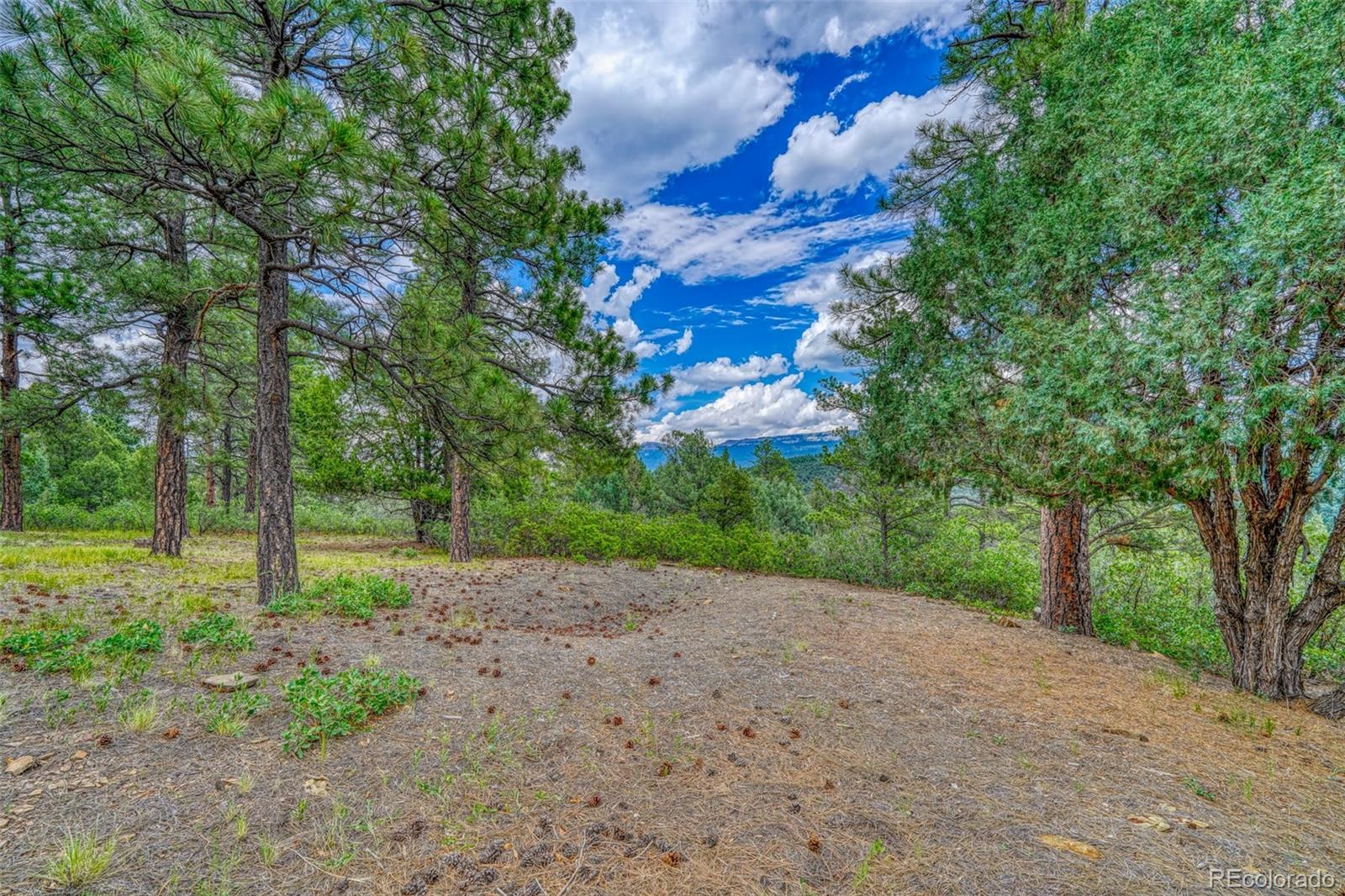 MLS Image #41 for 33170  old mission ridge,trinidad, Colorado