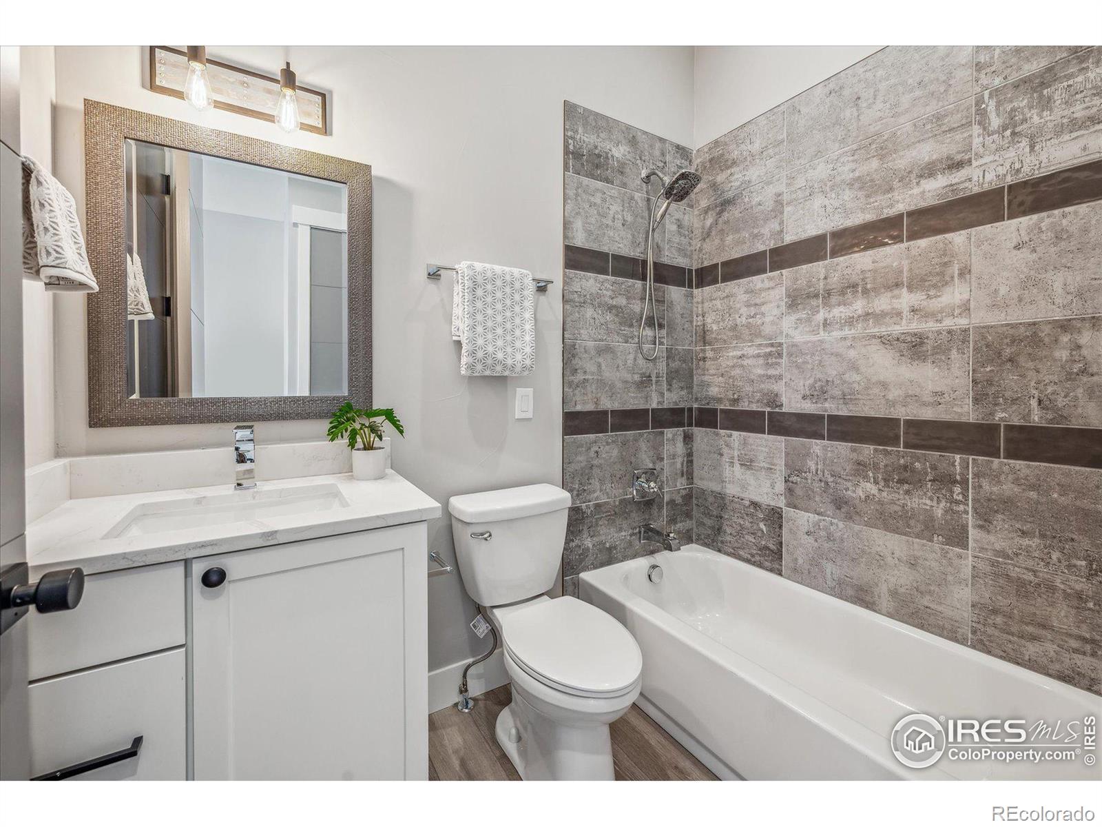 MLS Image #23 for 3373 w moncrieff place,denver, Colorado