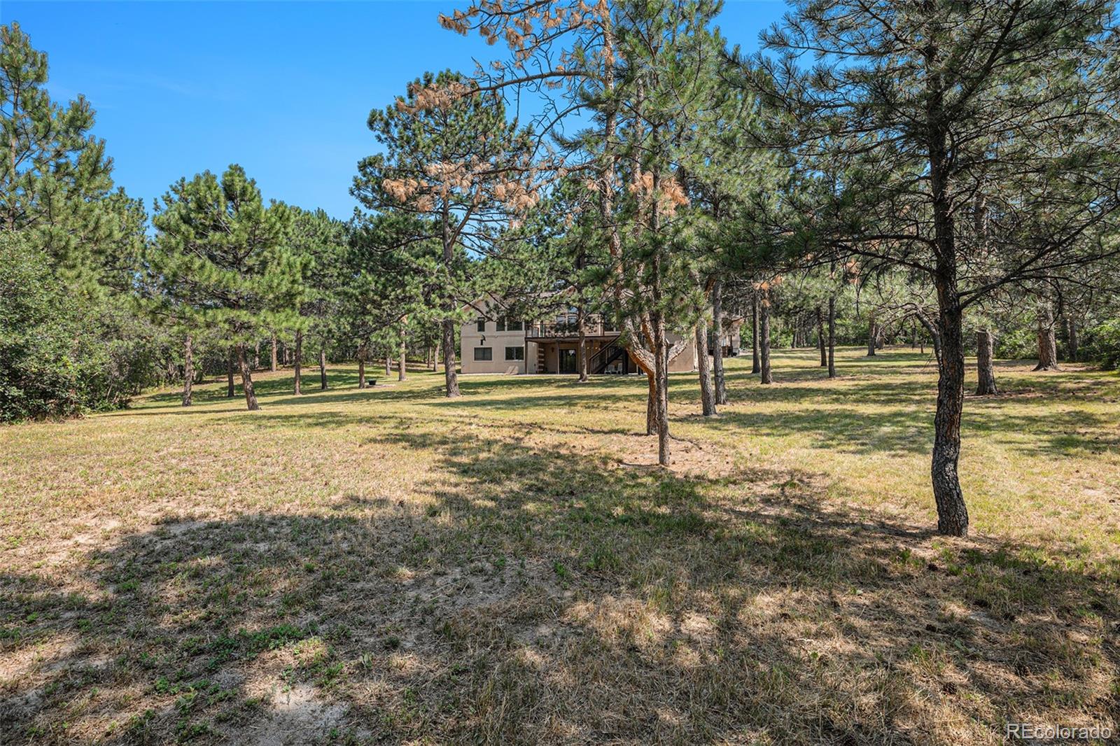 MLS Image #40 for 1653  gore drive,larkspur, Colorado