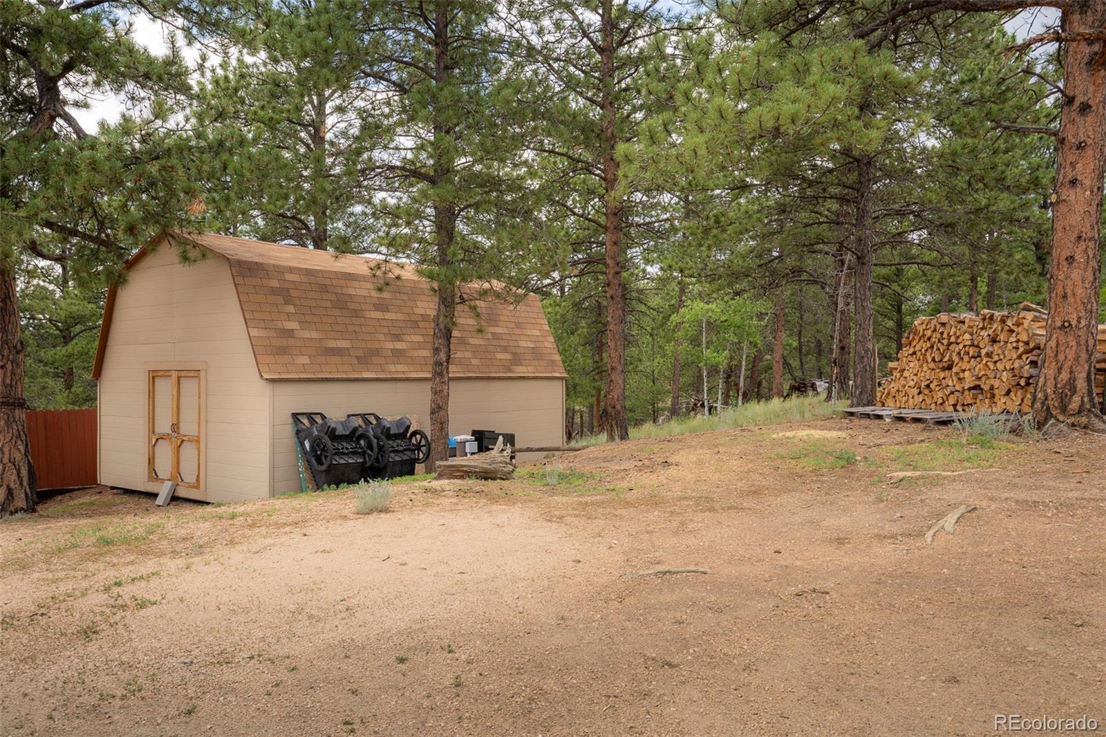 MLS Image #11 for 901 w bison creek trail,divide, Colorado