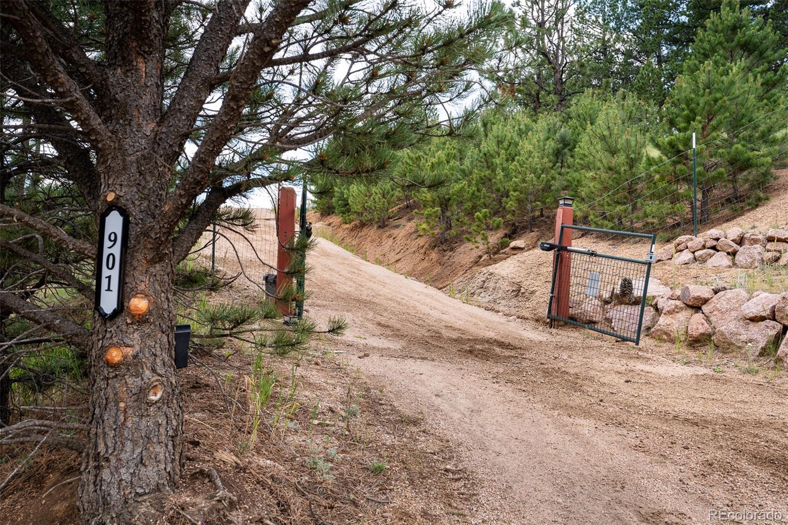 MLS Image #12 for 901 w bison creek trail,divide, Colorado