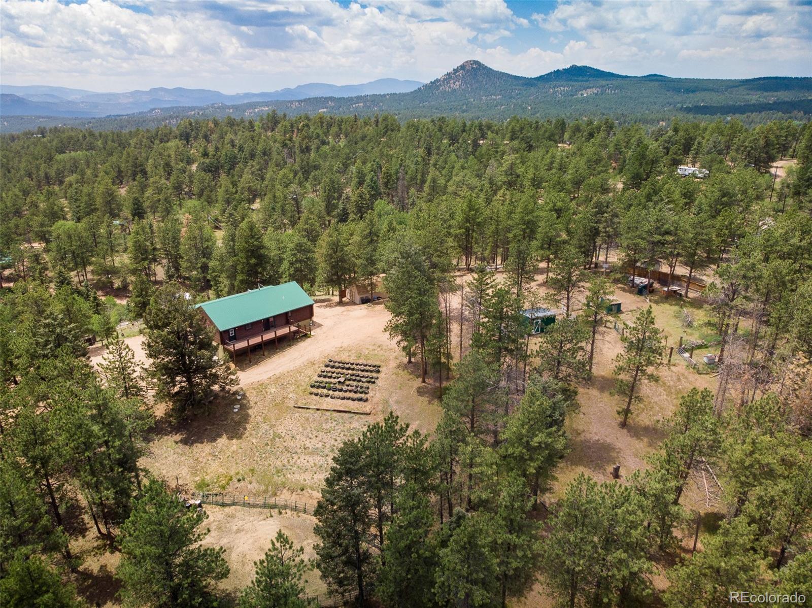 MLS Image #2 for 901 w bison creek trail,divide, Colorado