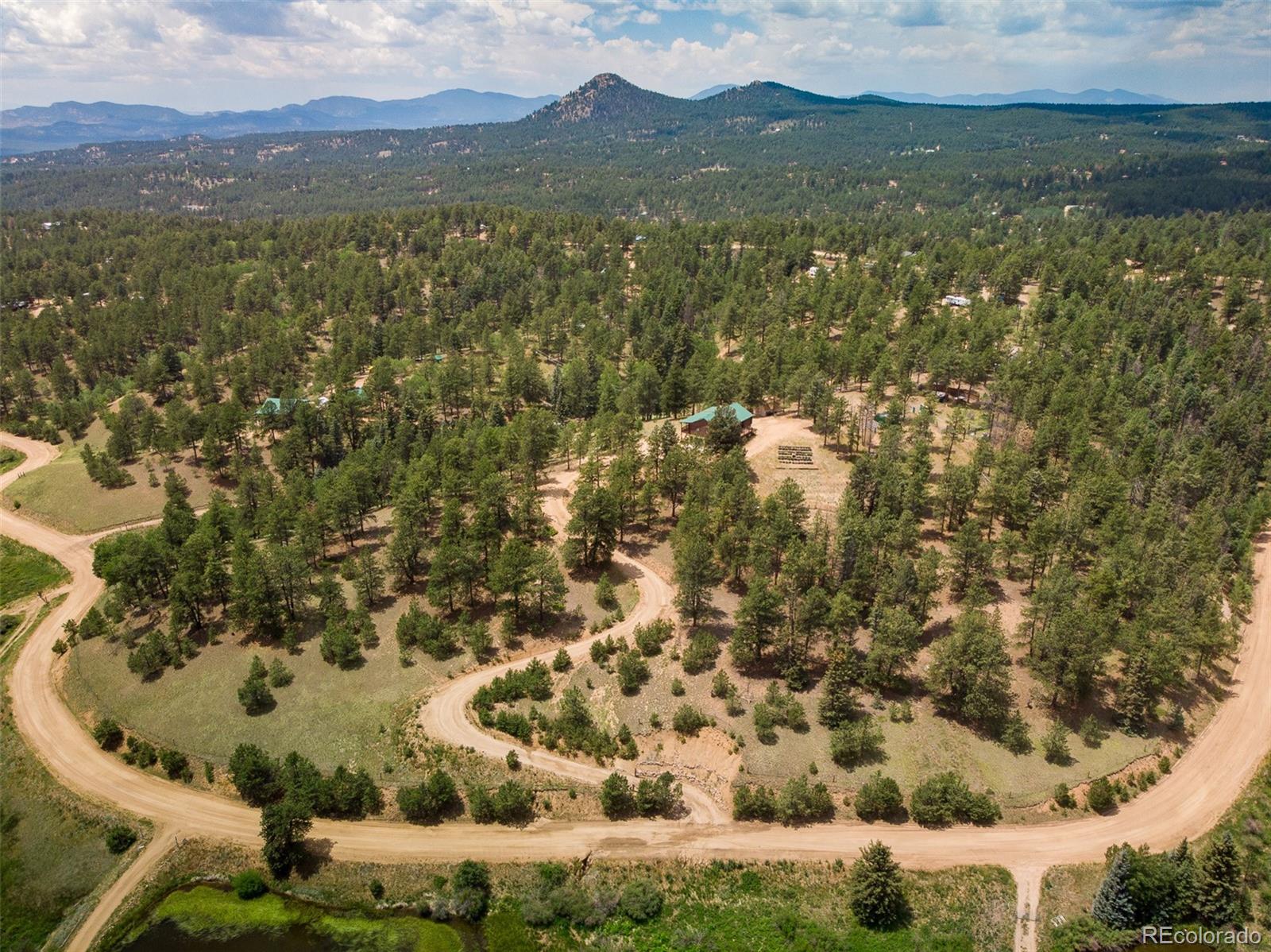 MLS Image #3 for 901 w bison creek trail,divide, Colorado