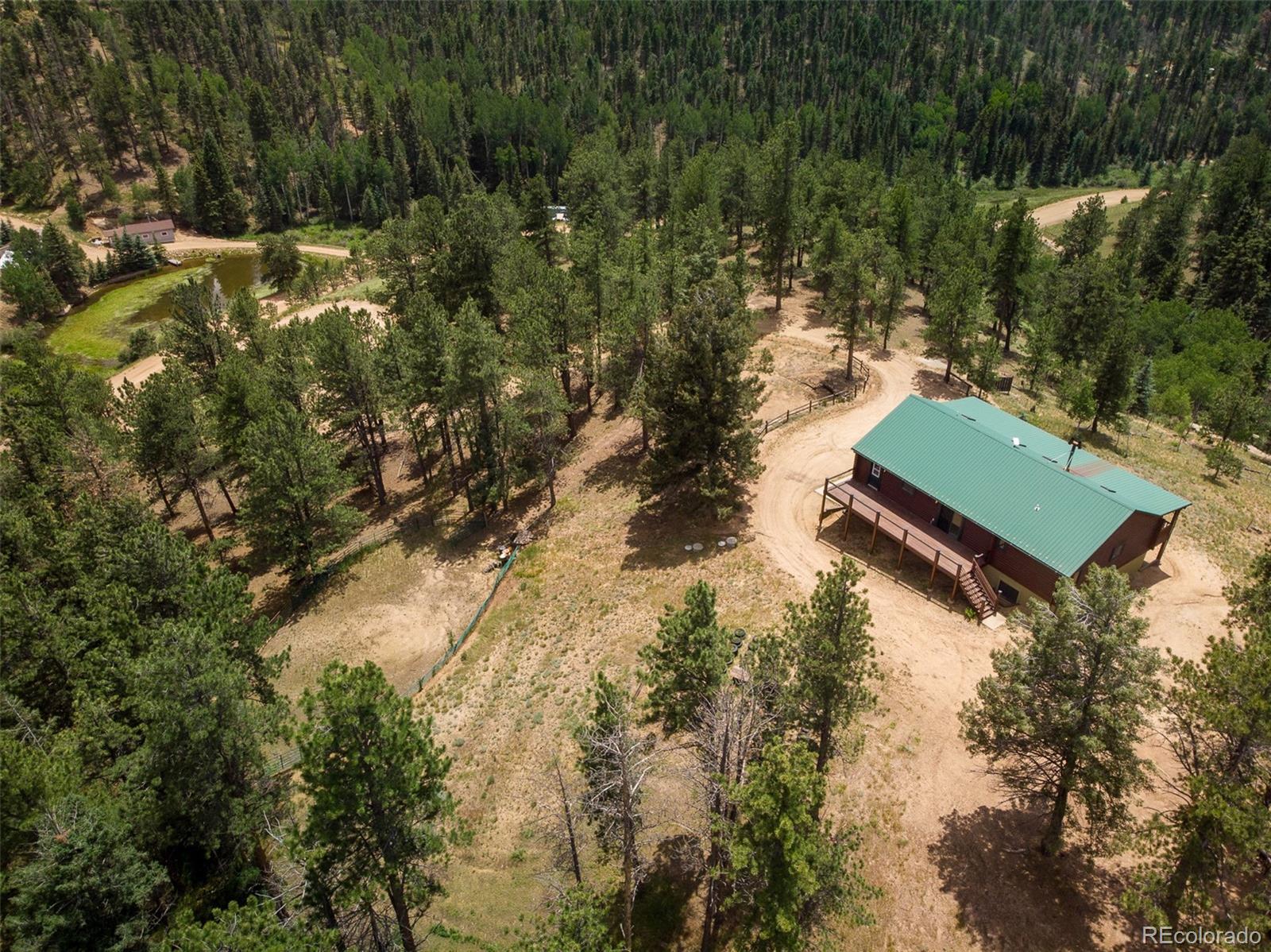 MLS Image #6 for 901 w bison creek trail,divide, Colorado