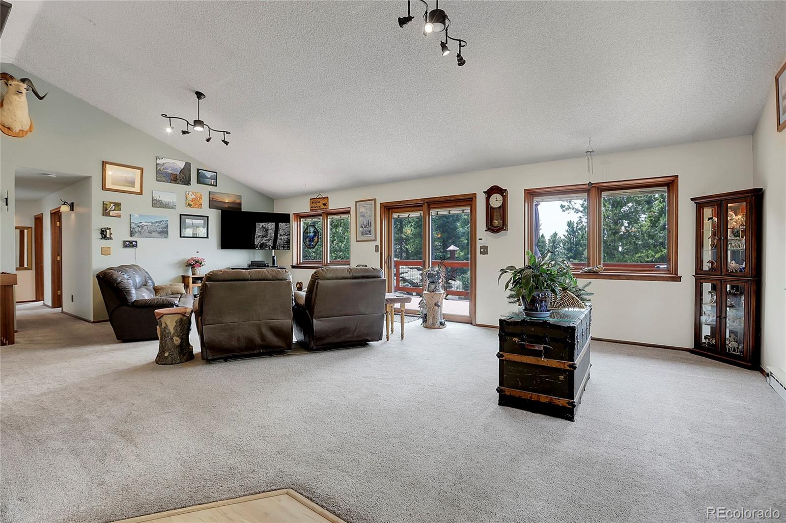 MLS Image #14 for 10805  beas drive,conifer, Colorado