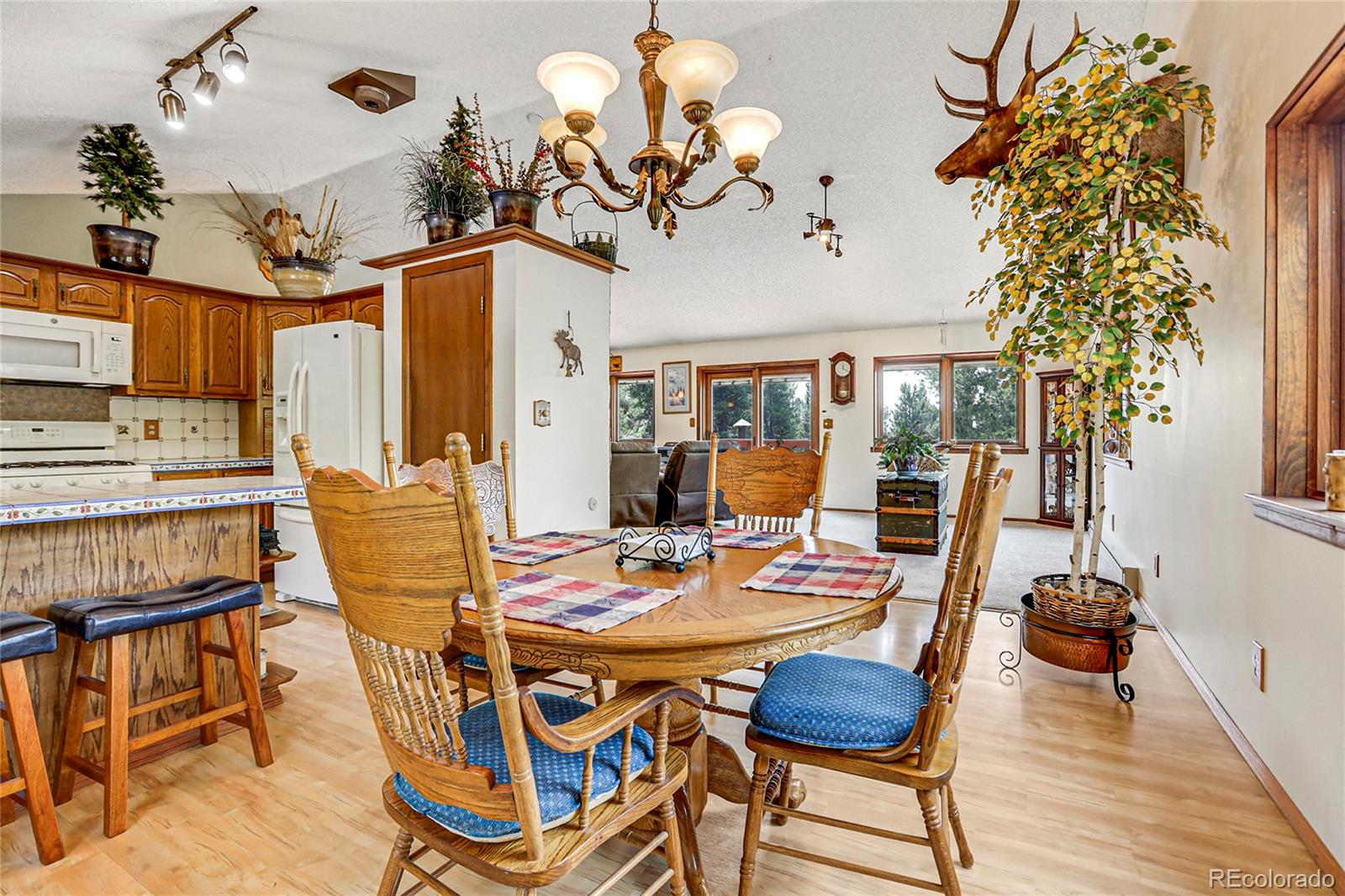 MLS Image #18 for 10805  beas drive,conifer, Colorado