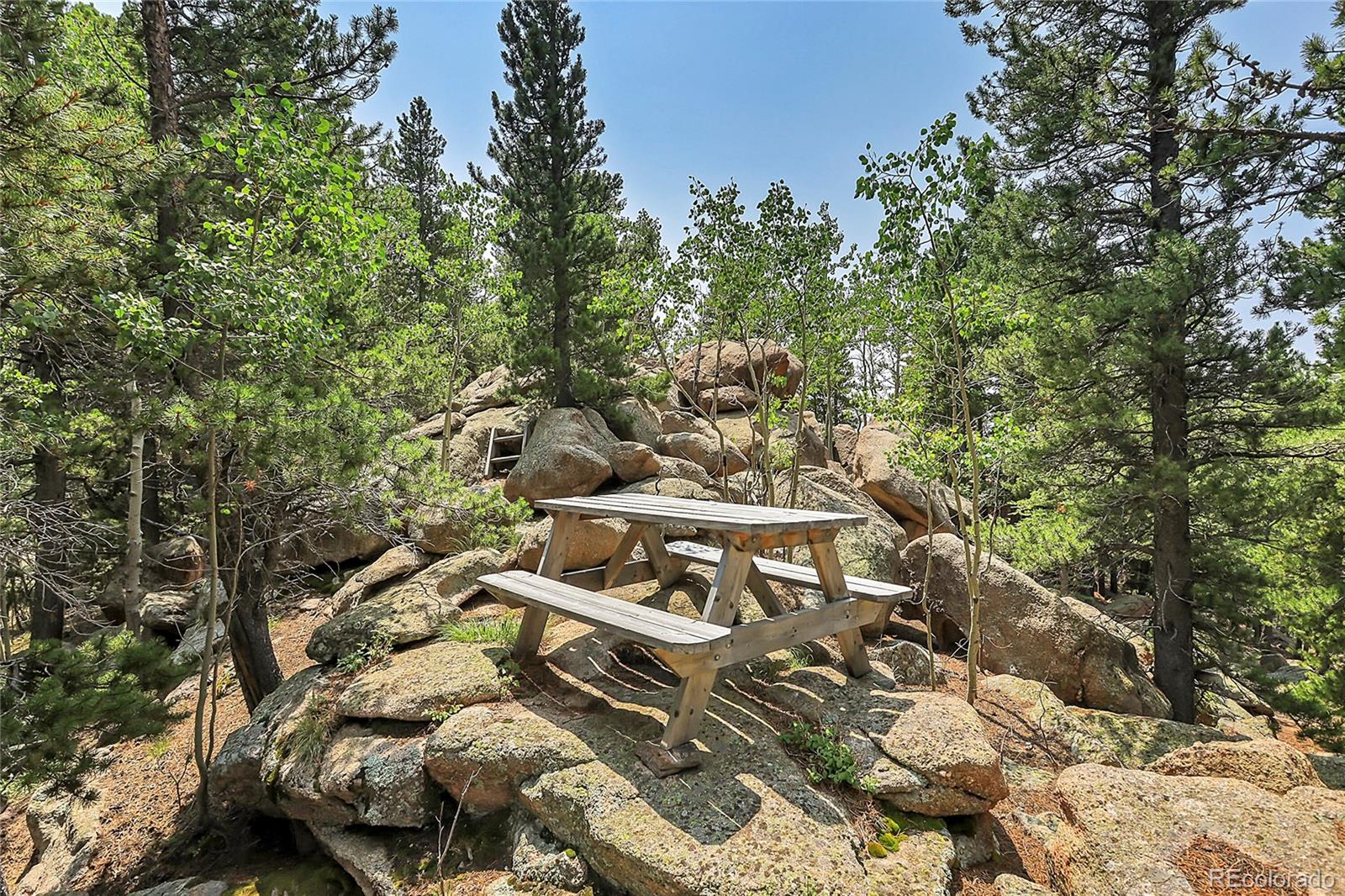 MLS Image #43 for 10805  beas drive,conifer, Colorado