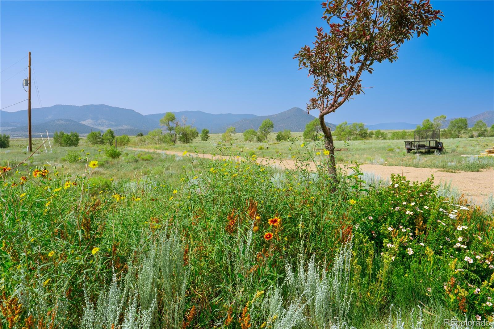 MLS Image #0 for 54309  county road ll56 ,villa grove, Colorado