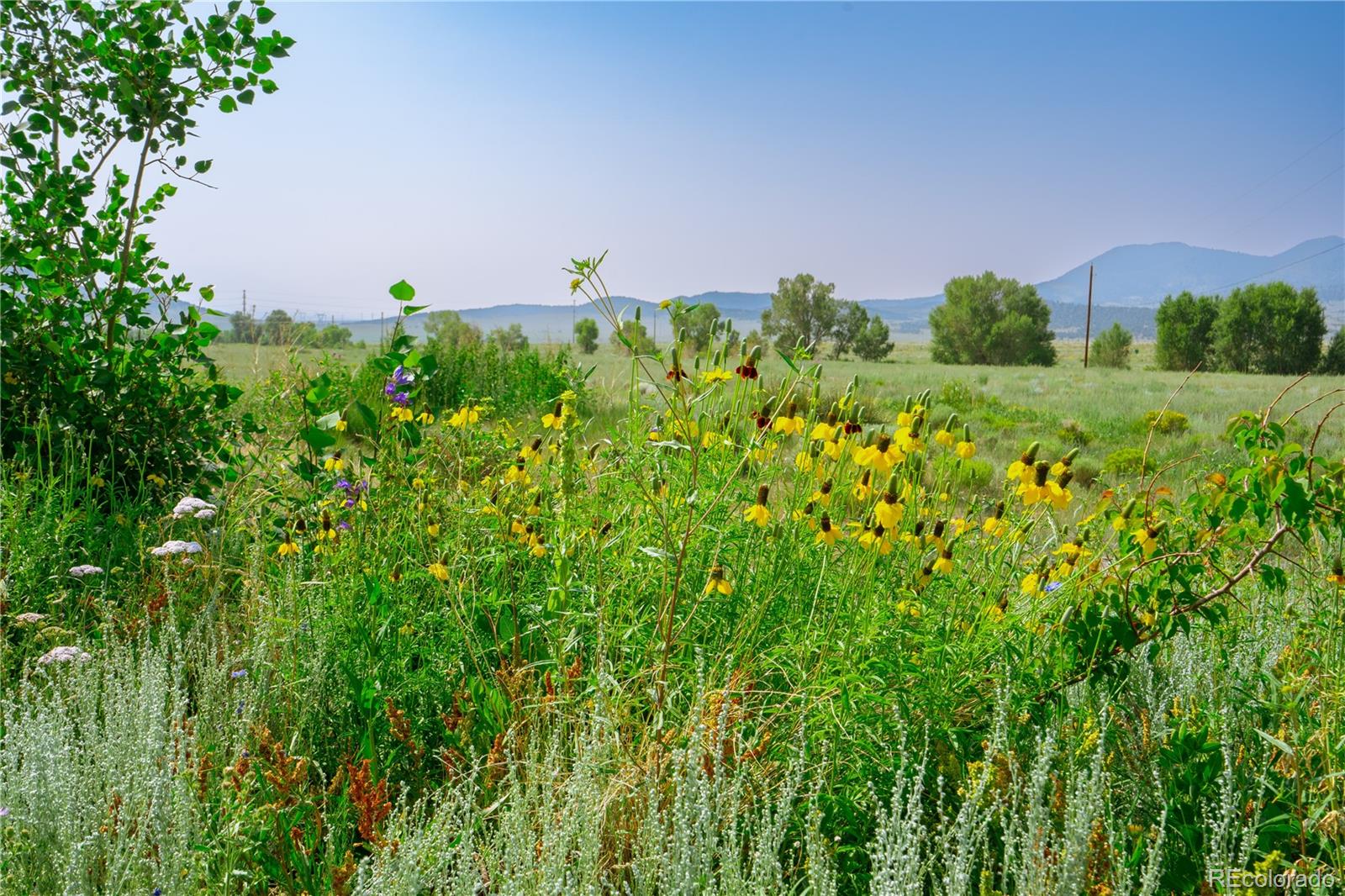 MLS Image #24 for 54309  county road ll56 ,villa grove, Colorado