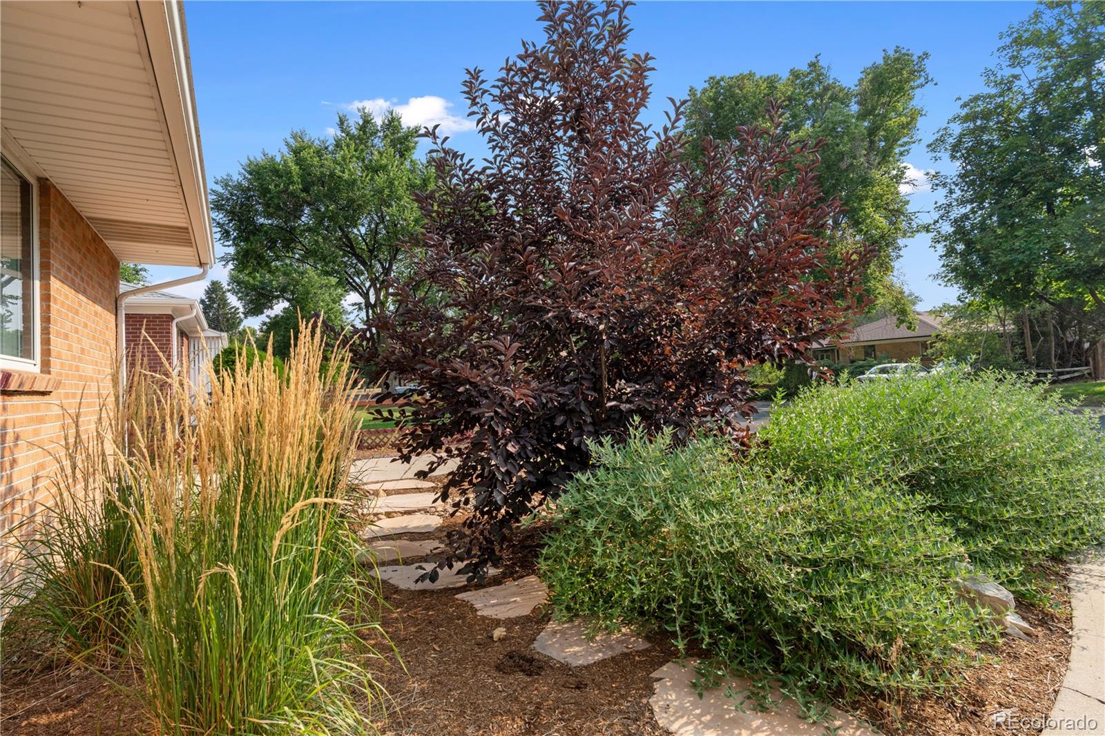 MLS Image #3 for 2360  joliet street,aurora, Colorado