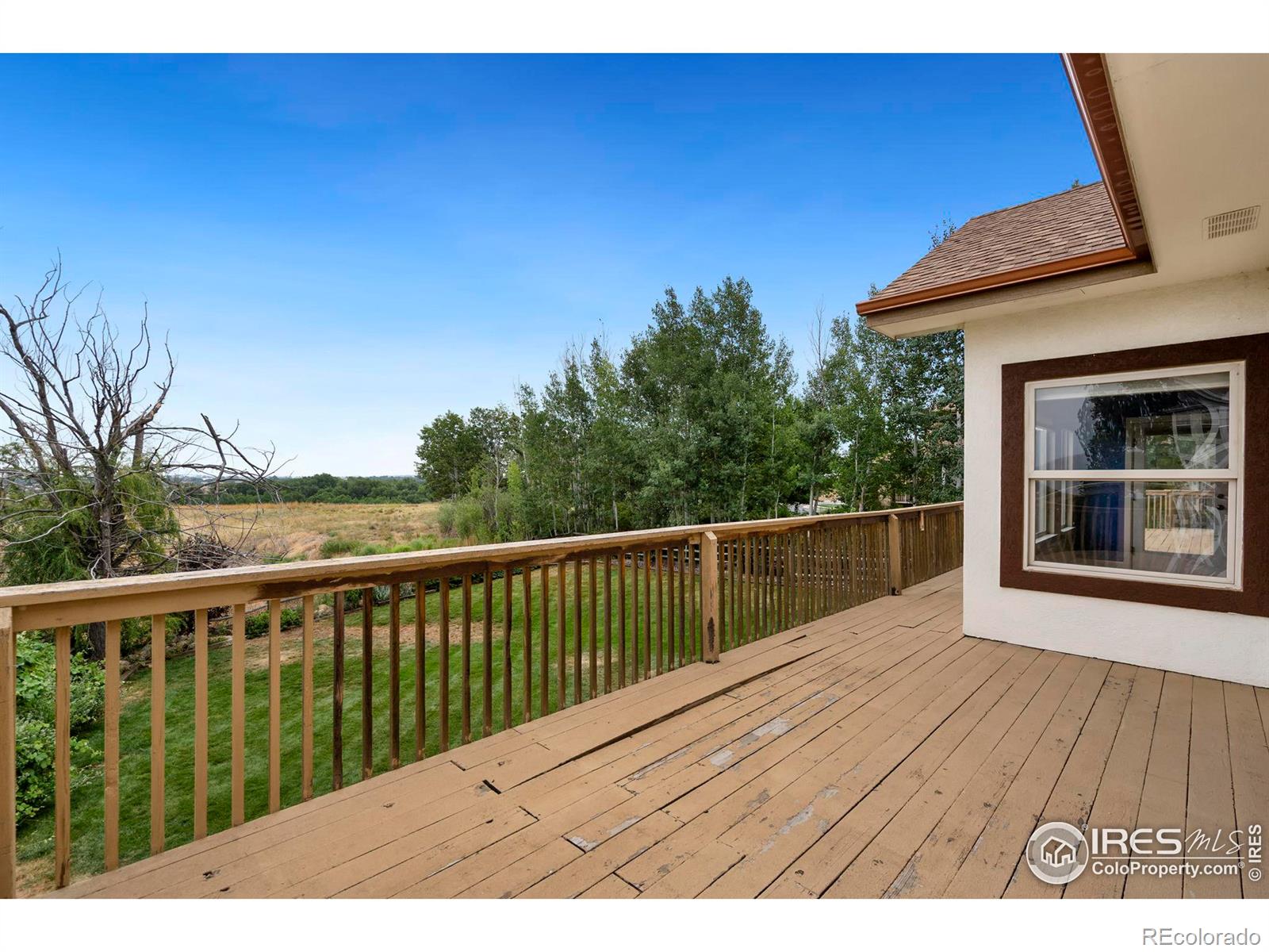 MLS Image #36 for 913  lookout court,windsor, Colorado