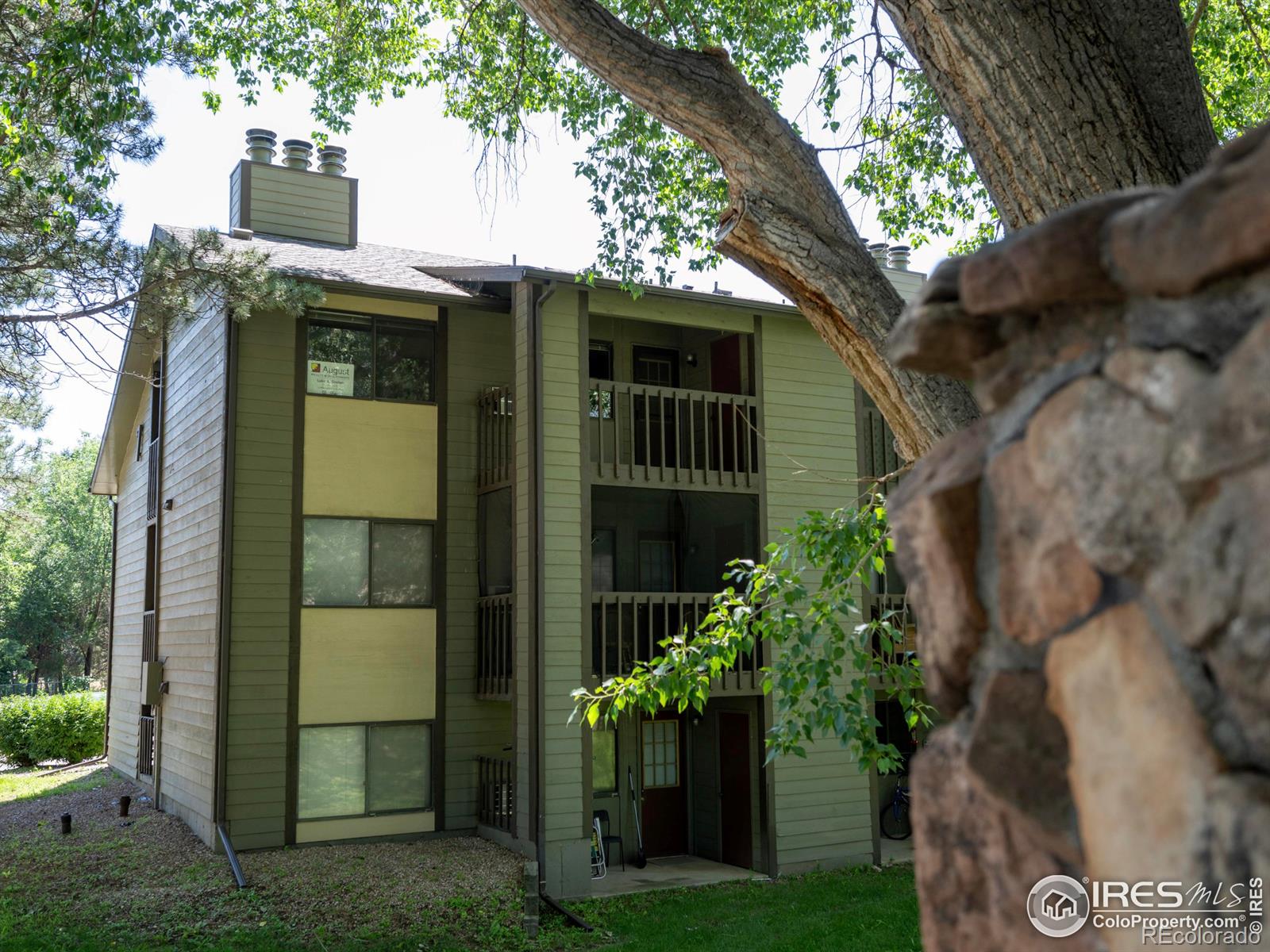 MLS Image #12 for 925  columbia road,fort collins, Colorado