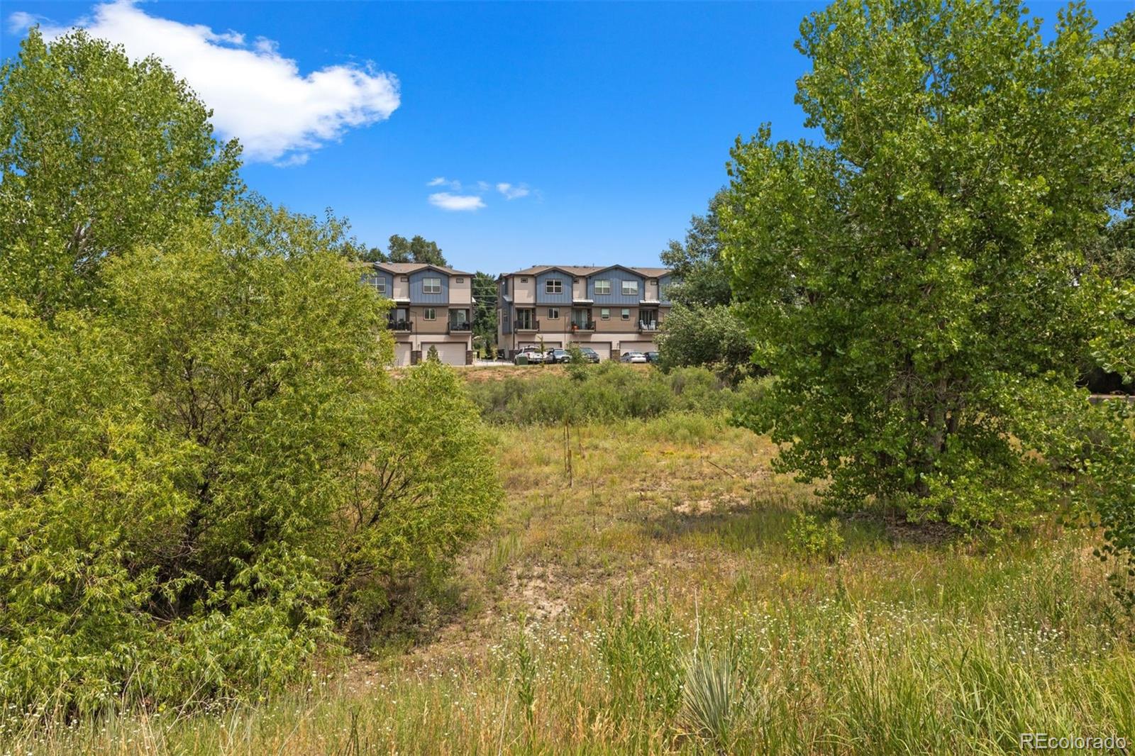 MLS Image #25 for 1025 s gilbert street,castle rock, Colorado