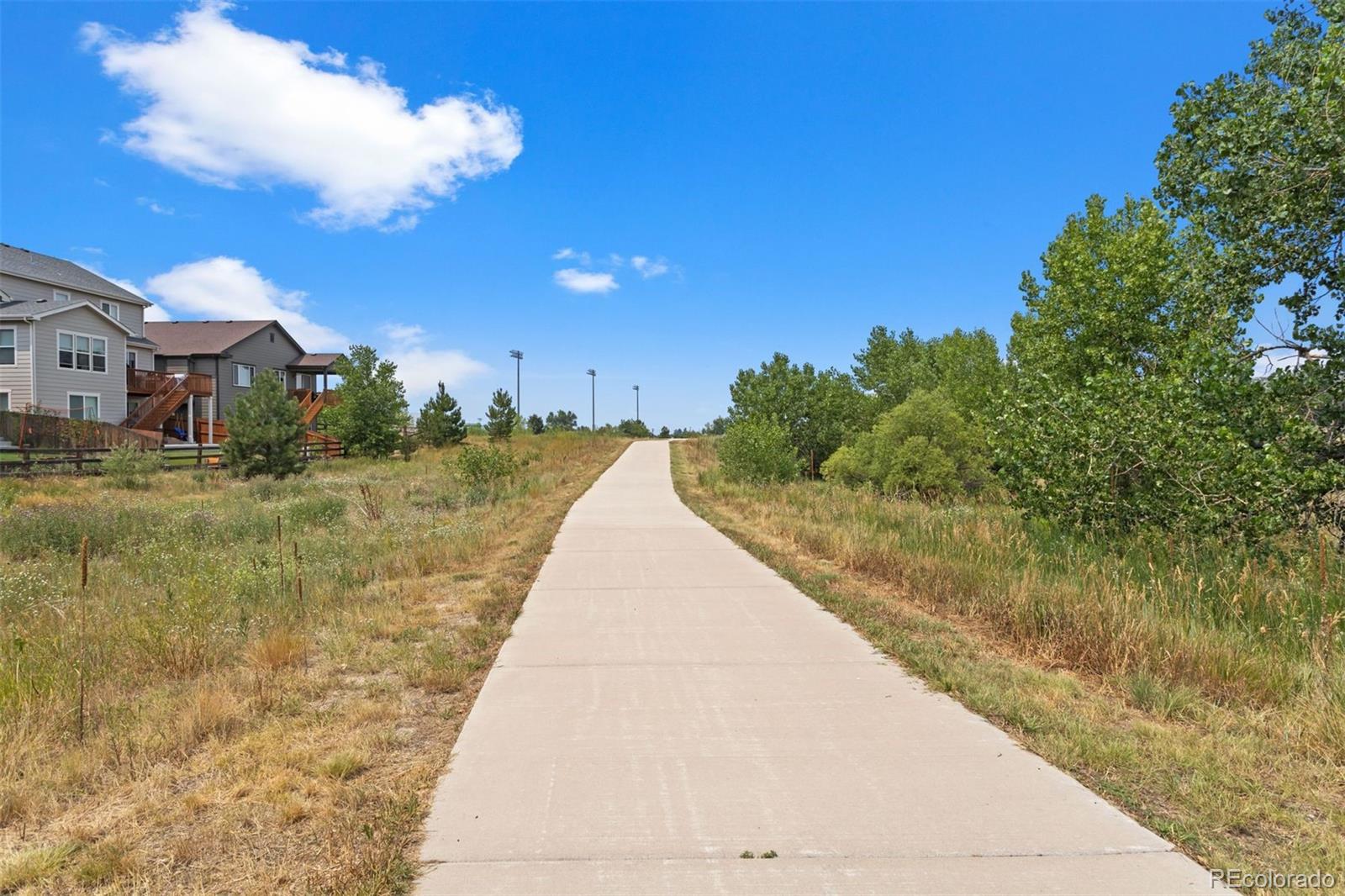 MLS Image #26 for 1025 s gilbert street,castle rock, Colorado