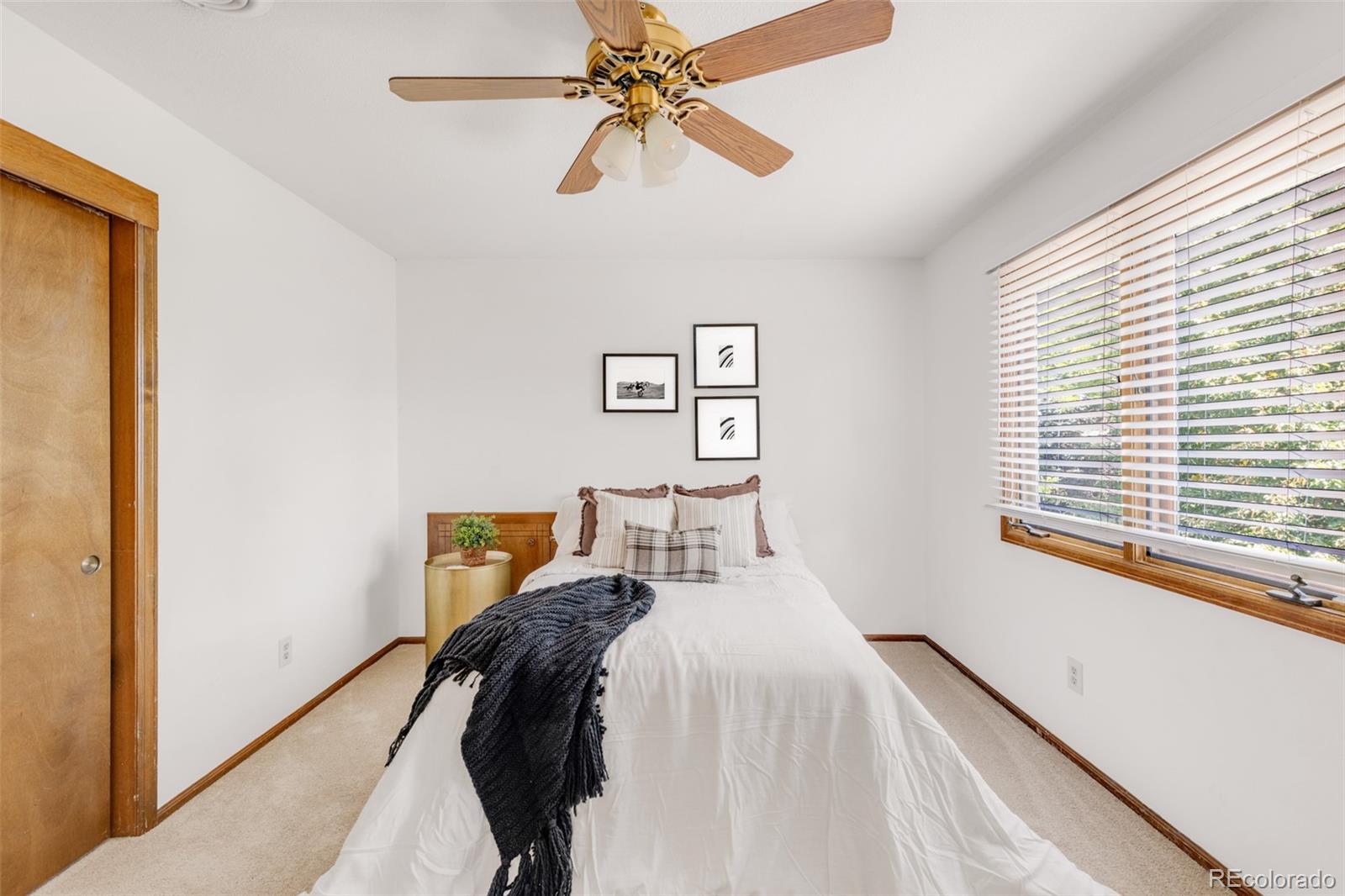 MLS Image #24 for 8036 s ammons street,littleton, Colorado