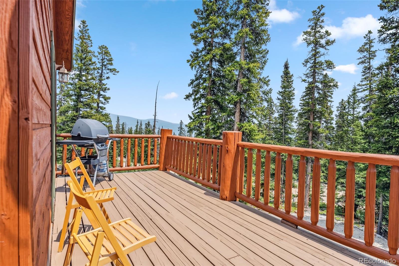 MLS Image #22 for 121  grizzly drive,fairplay, Colorado