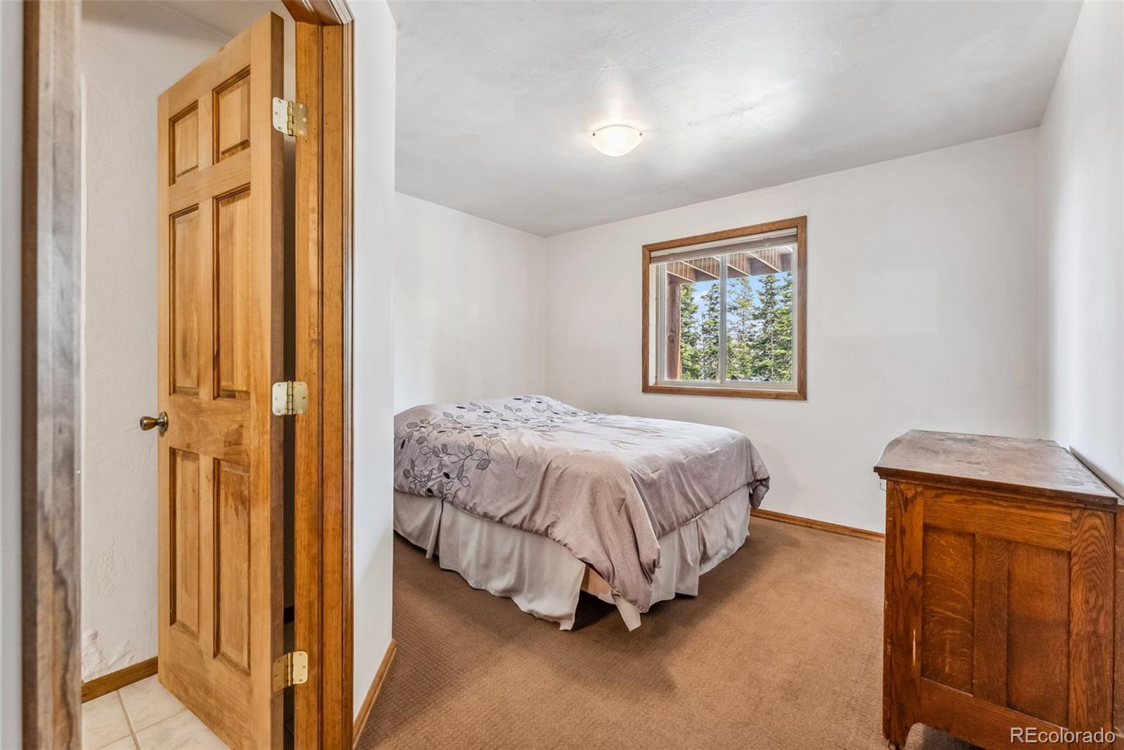 MLS Image #29 for 121  grizzly drive,fairplay, Colorado