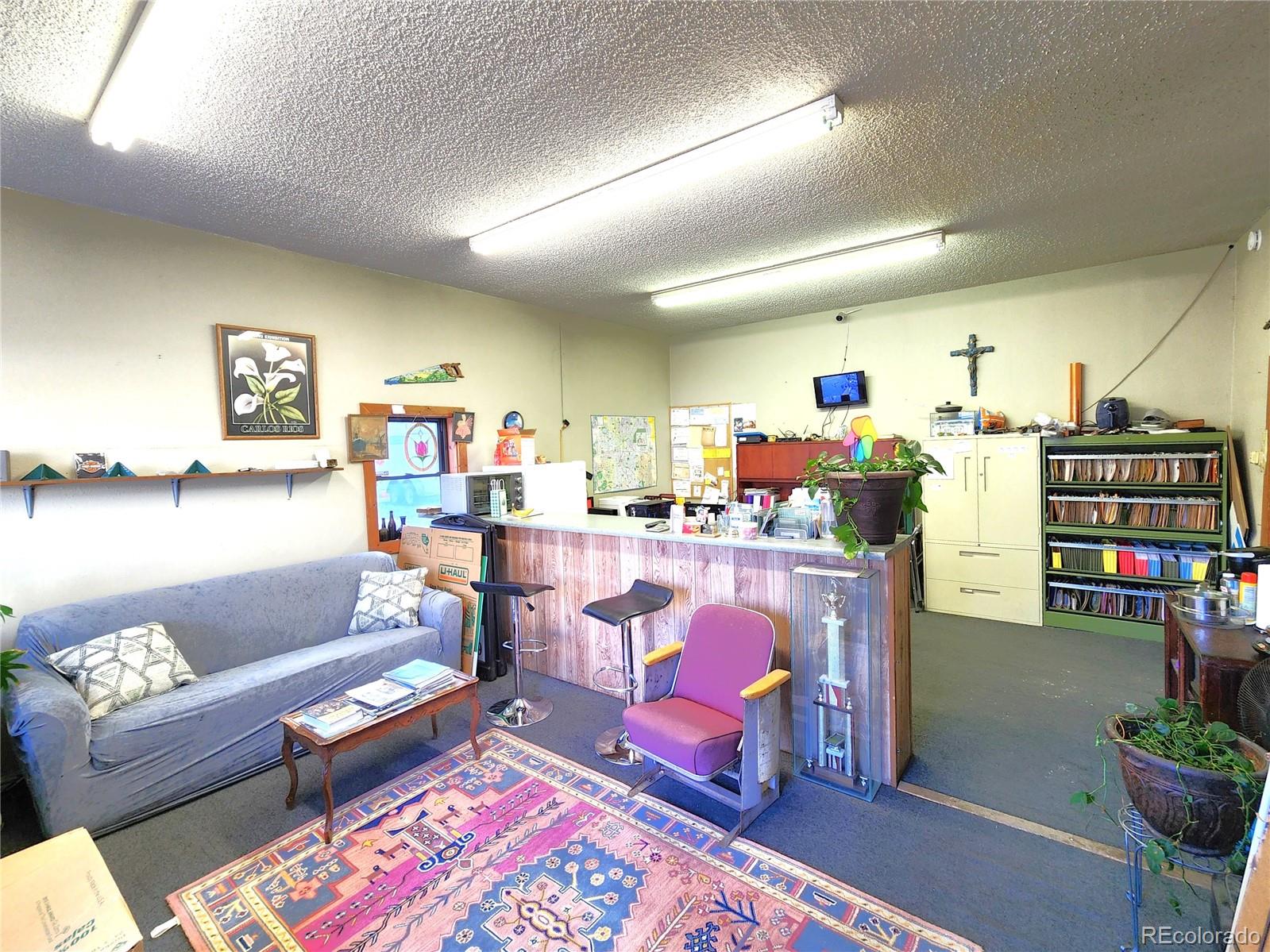 MLS Image #15 for 233  3rd avenue,idaho springs, Colorado