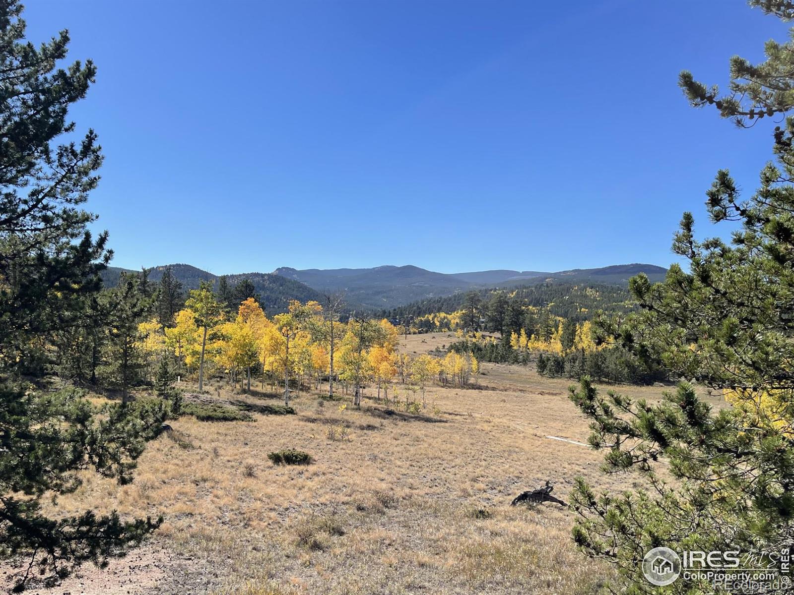 MLS Image #26 for 5547 n county road 73c road,red feather lakes, Colorado