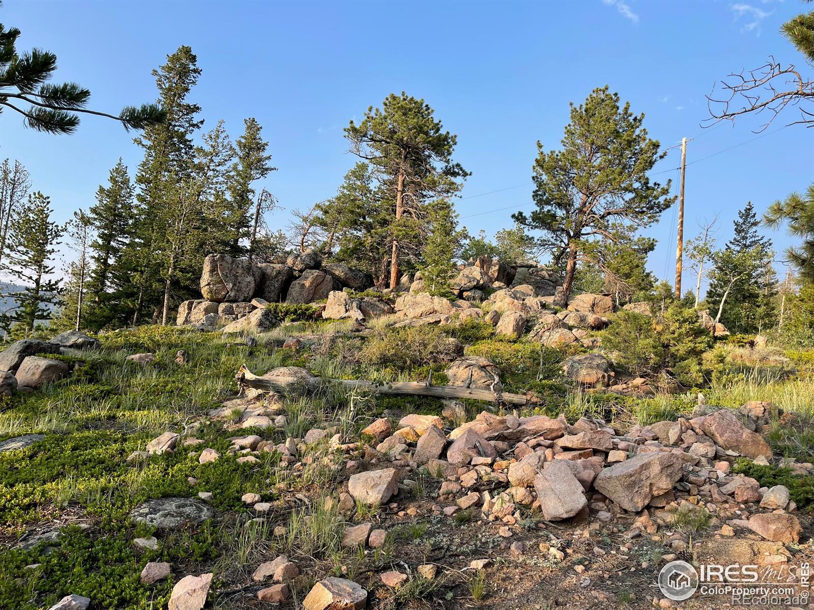 MLS Image #37 for 5547 n county road 73c road,red feather lakes, Colorado