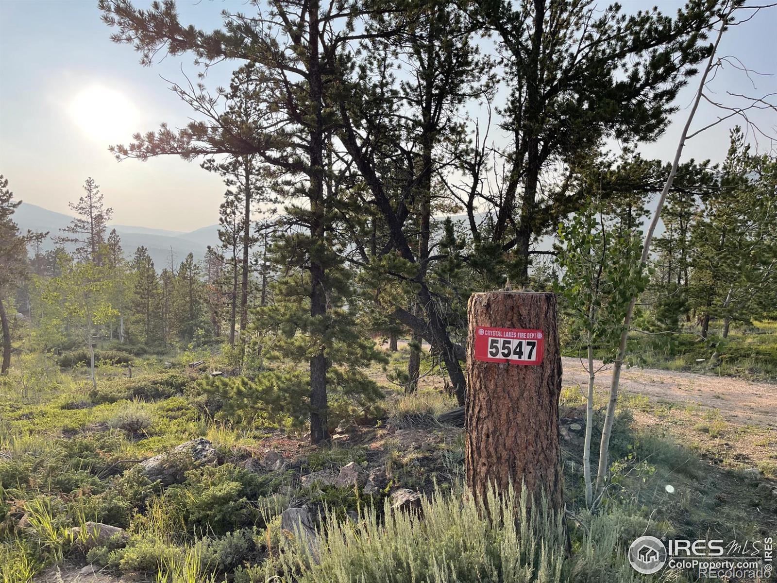 MLS Image #38 for 5547 n county road 73c road,red feather lakes, Colorado