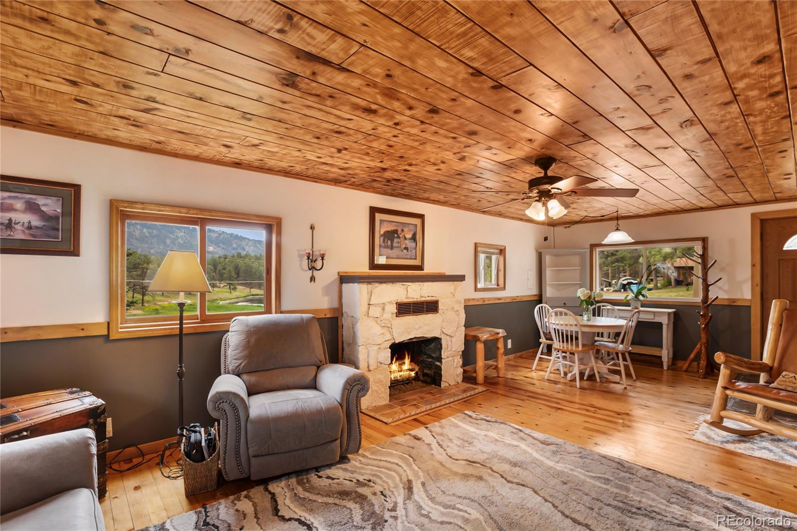 MLS Image #11 for 1517  county road 21 ,woodland park, Colorado