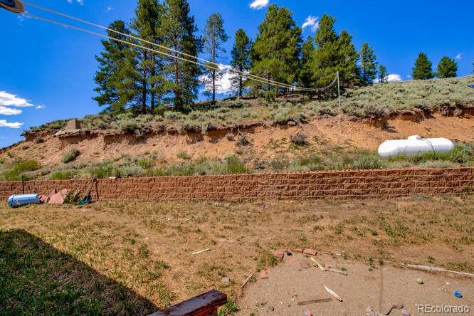 MLS Image #8 for 105  valley road,leadville, Colorado