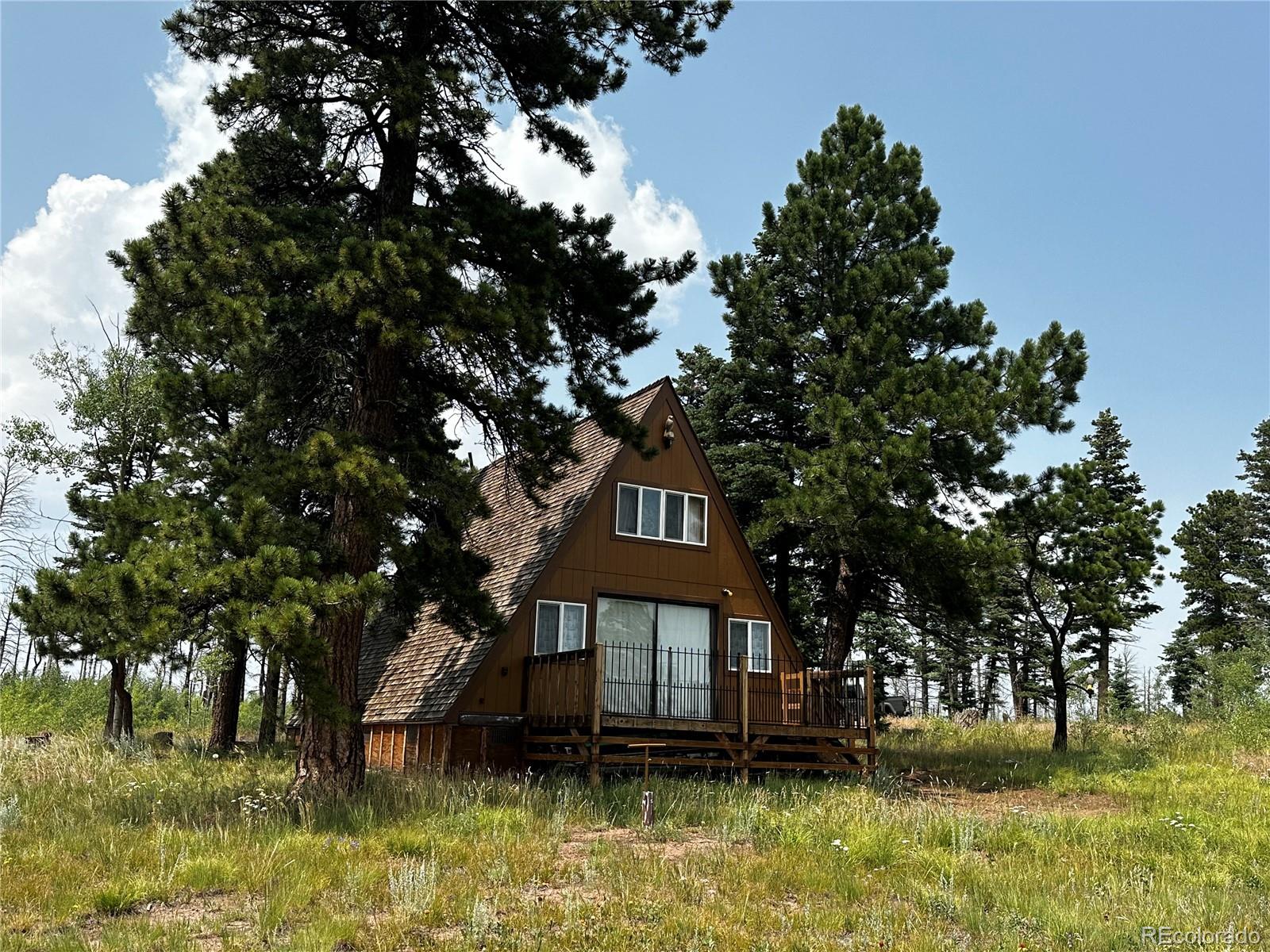 MLS Image #1 for 1718  mara loop,fort garland, Colorado