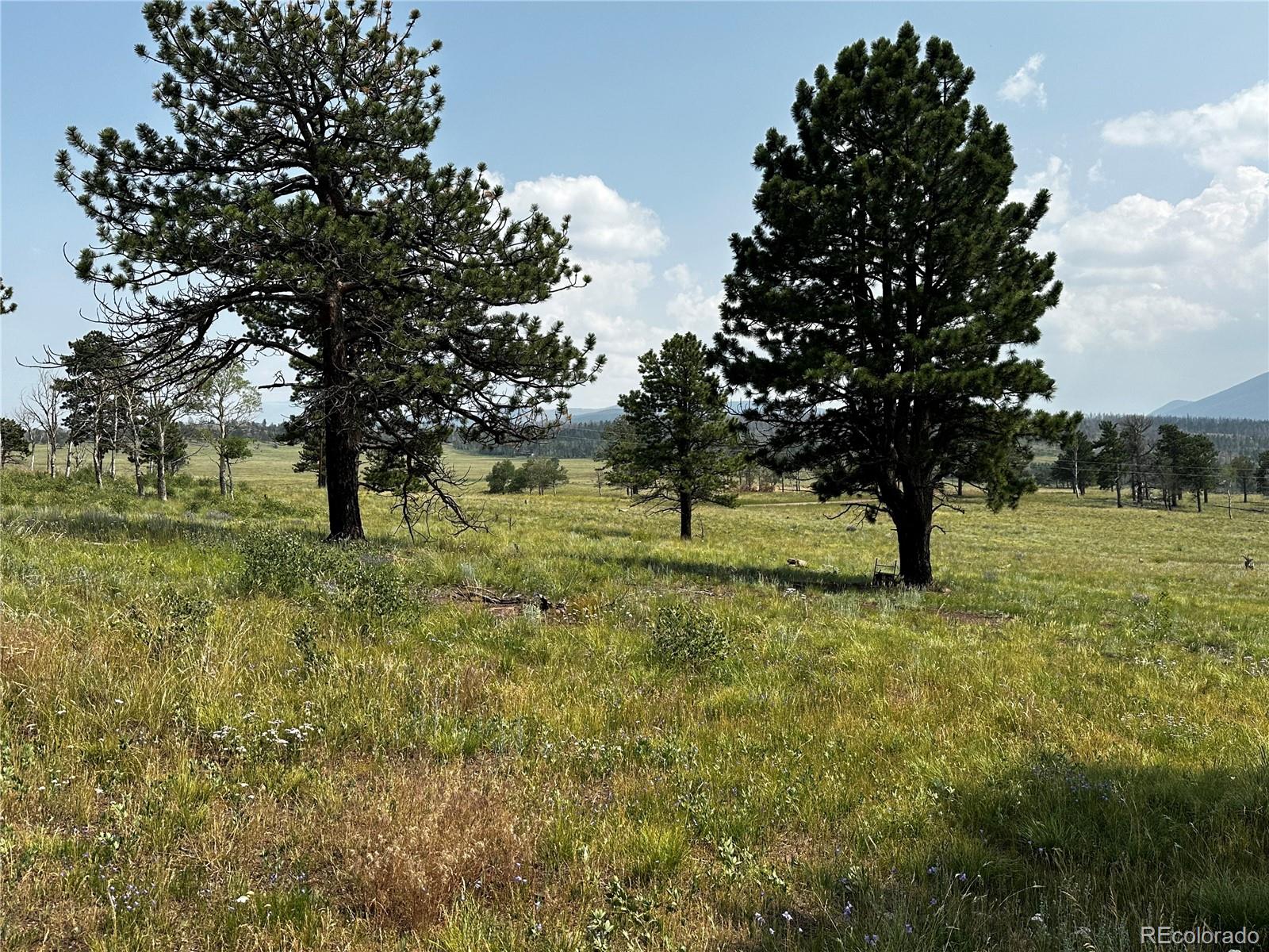 MLS Image #31 for 1718  mara loop,fort garland, Colorado