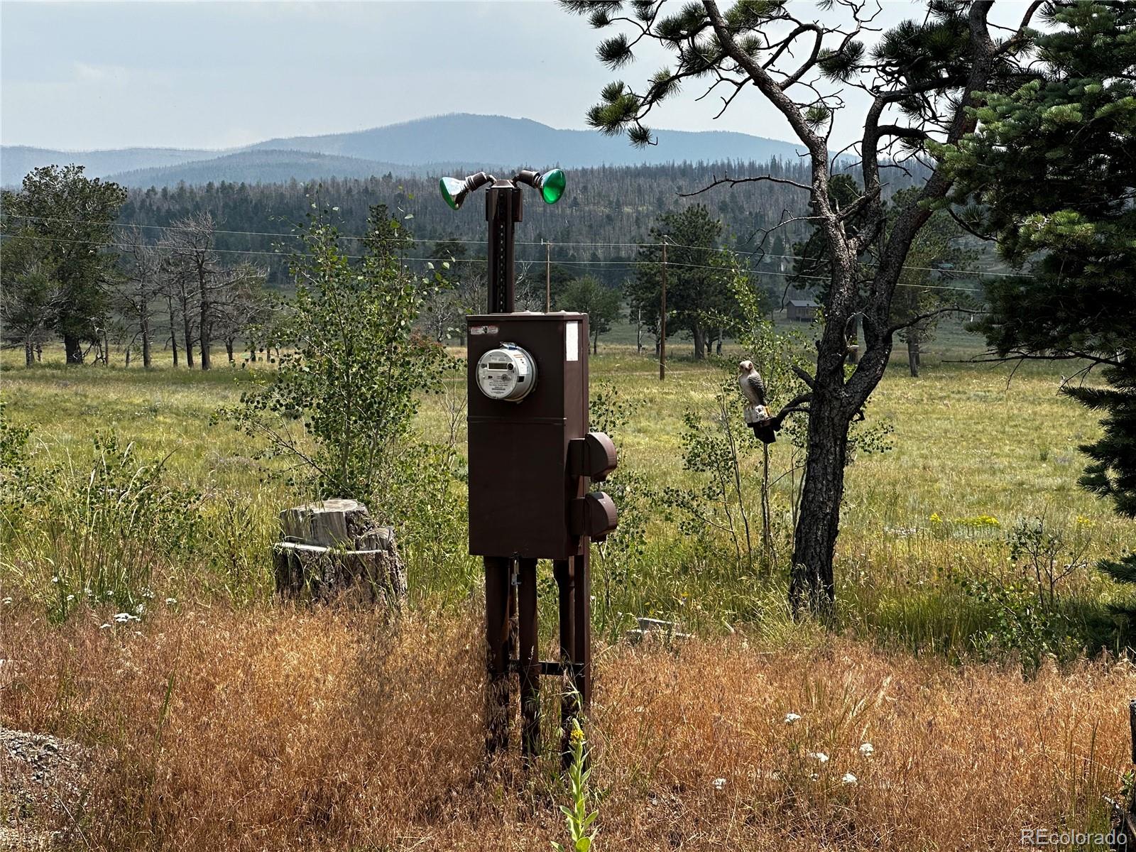 MLS Image #5 for 1718  mara loop,fort garland, Colorado