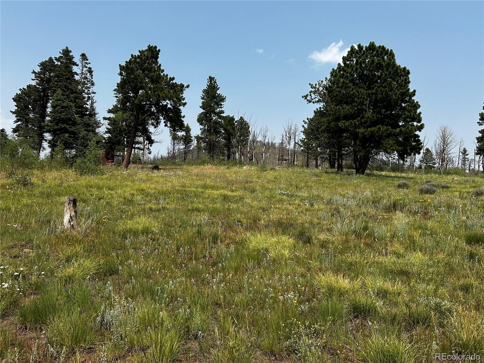 MLS Image #6 for 1718  mara loop,fort garland, Colorado