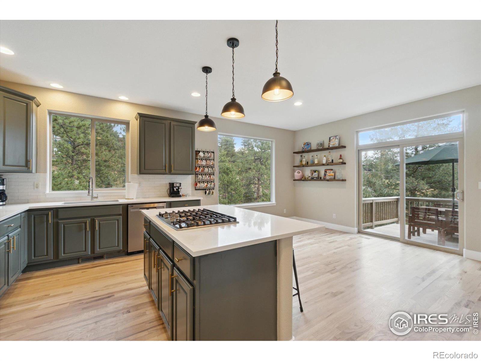 MLS Image #13 for 3172  gold yarrow lane,evergreen, Colorado