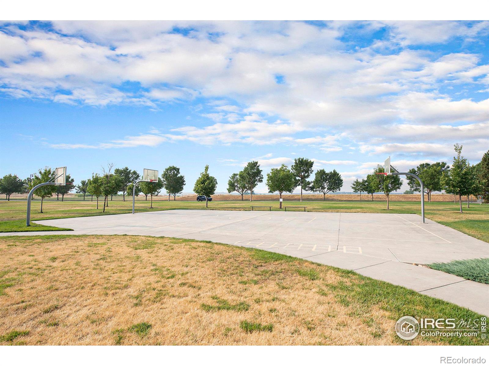 MLS Image #34 for 5989  sand cherry lane,timnath, Colorado