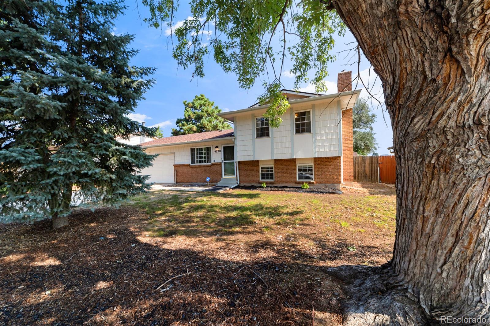 MLS Image #2 for 4720  endicott drive,colorado springs, Colorado