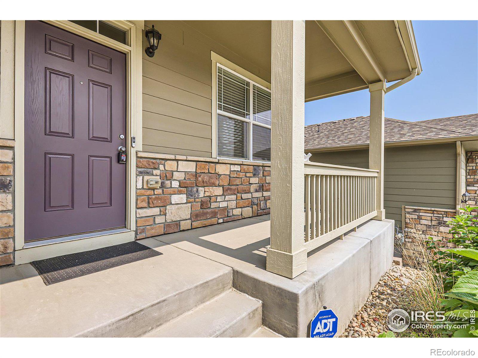 MLS Image #3 for 2264  stonefish drive,windsor, Colorado