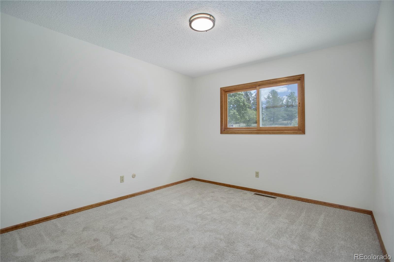 MLS Image #23 for 1570  branding iron drive,colorado springs, Colorado